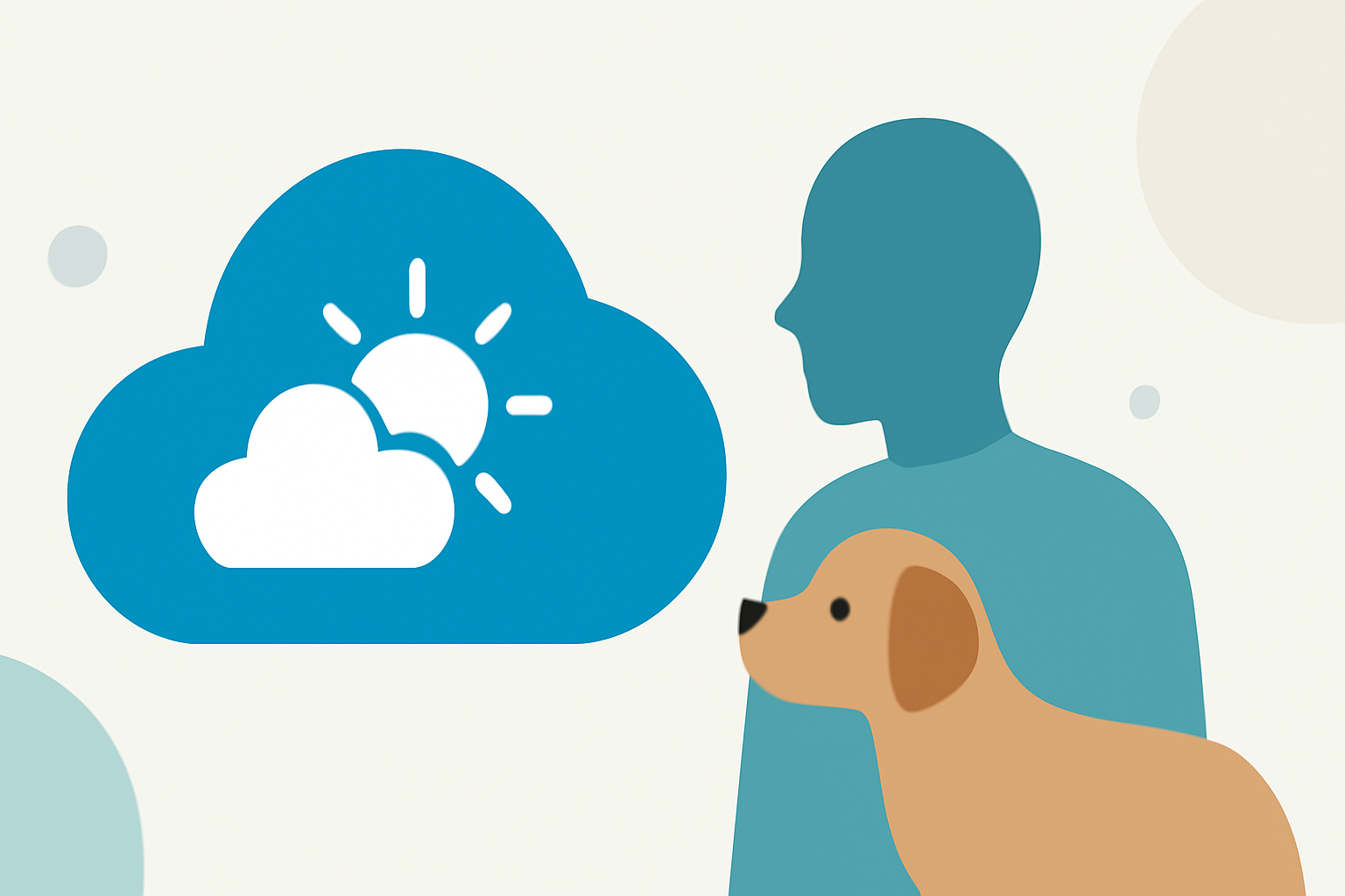 Destination Weather Research for Beginners: A Guide for Pet Owners