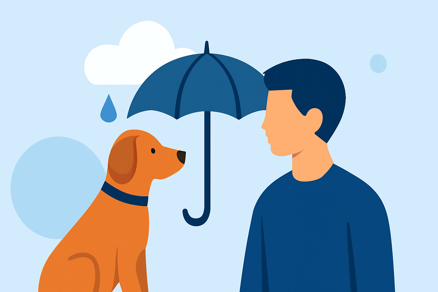 Rain Start Time Tricks for Pet Owners: How to Prepare Your Pets for Rainy Days