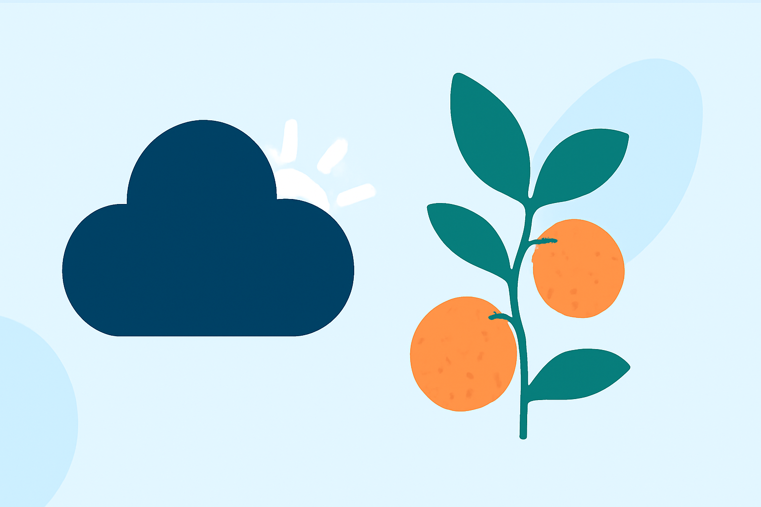 Understanding Weather for Fruit Growing During Travel Days