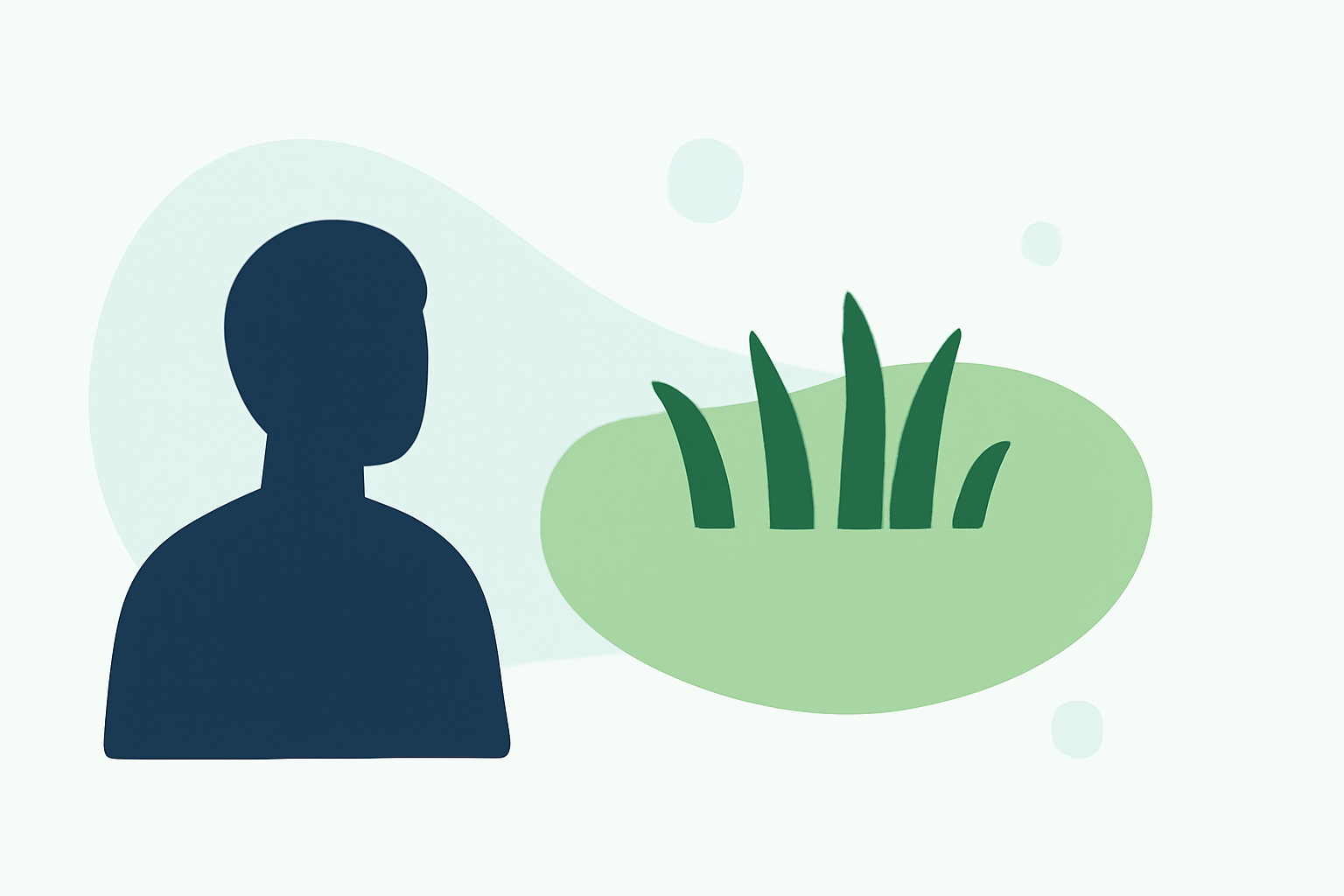 Avoiding Lawn Care Mistakes During Outdoor Events