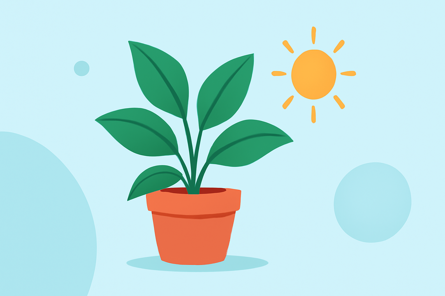 Indoor Plant Care Cheat Sheet for Heat Waves: Weather Insights