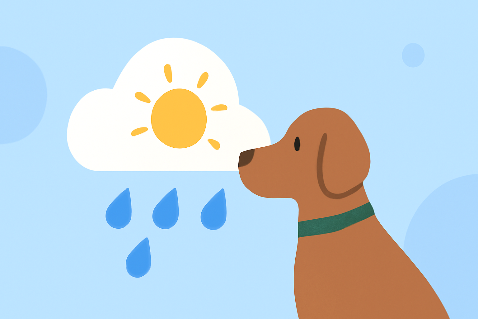 Weather for Outdoor Weddings Explained for Pet Owners