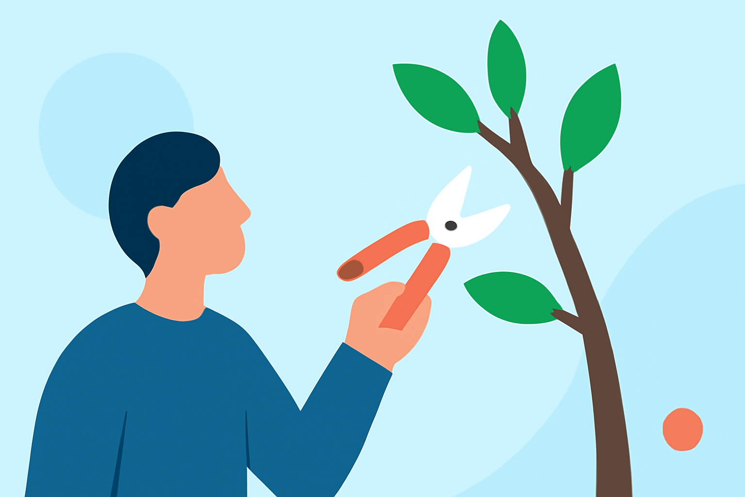 Optimal Weather Conditions for Tree Pruning: A Step-by-Step Guide