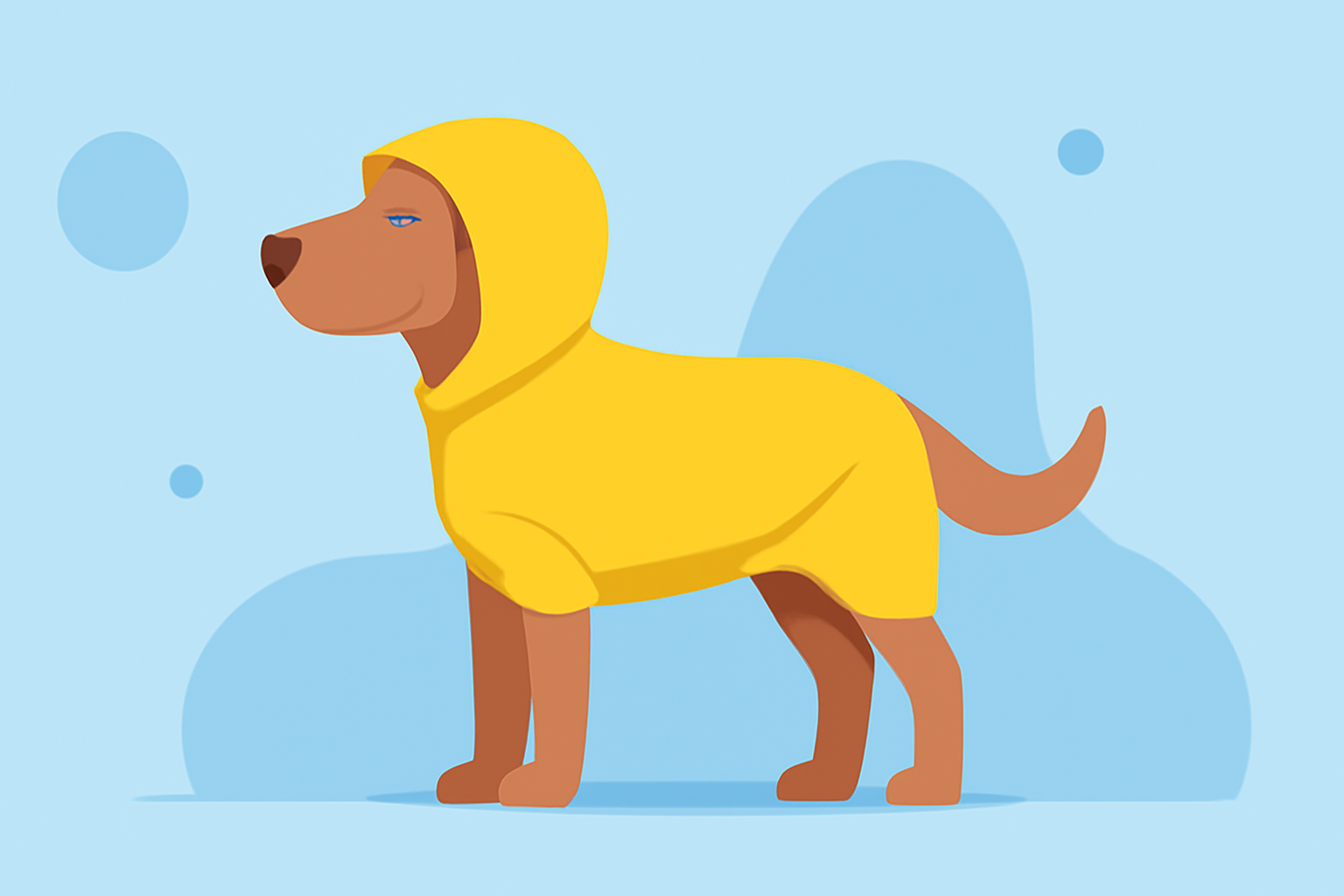Essential Guide to Dog Raincoats: Protecting Your Pet in Wet Weather