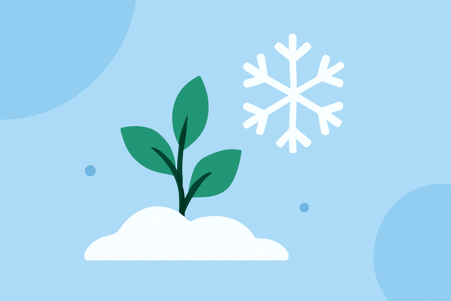 Understanding Snow Accumulation and Its Impact on Your Garden