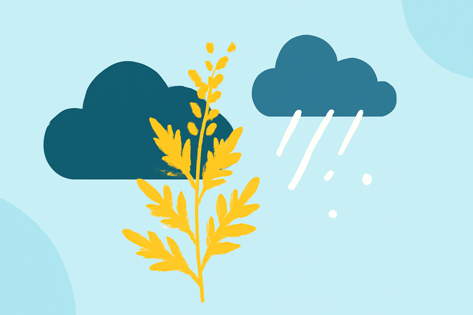 Understanding Ragweed Pollen Levels During Winter Storms