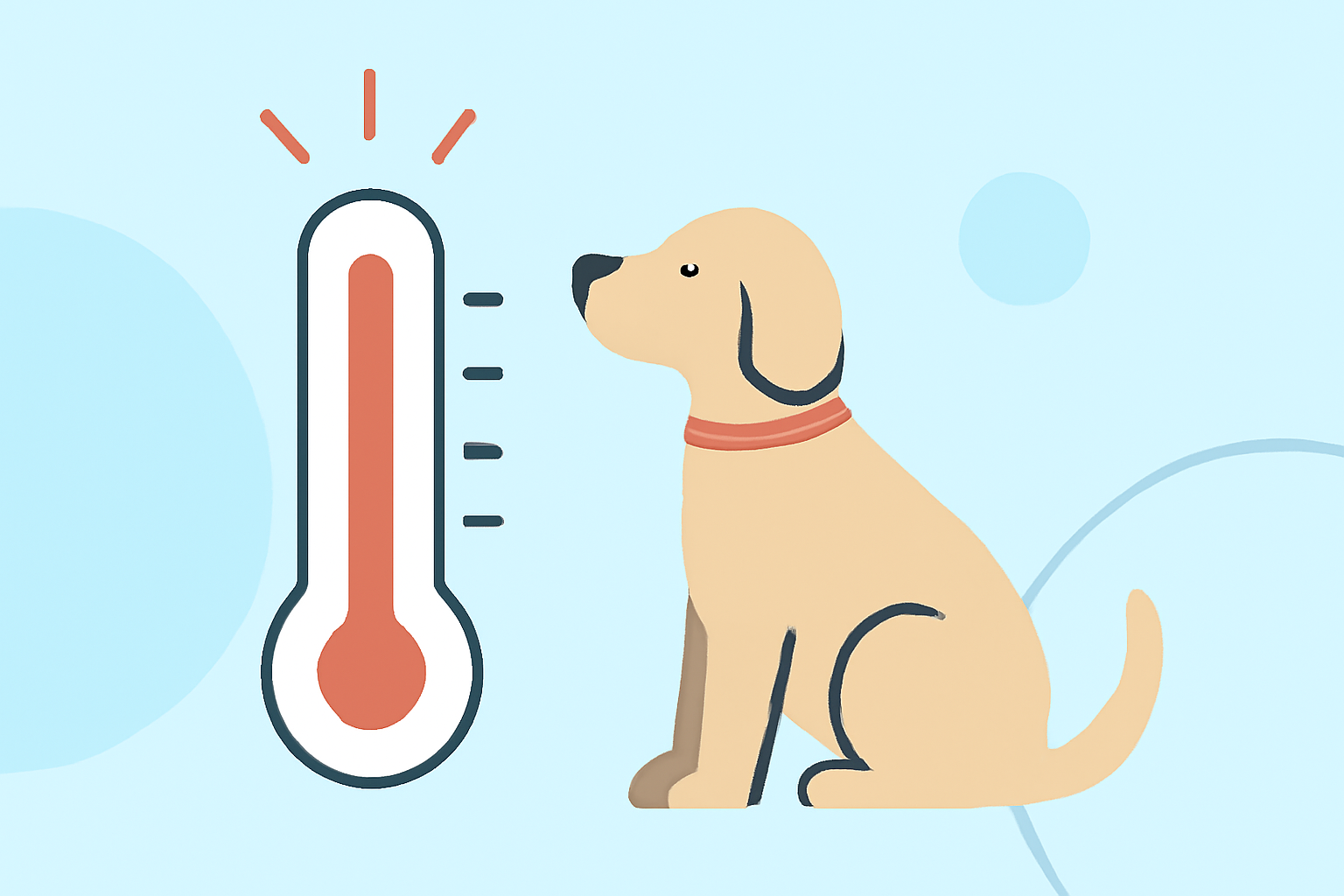 Understanding the Heat Index: A Guide for Pet Owners