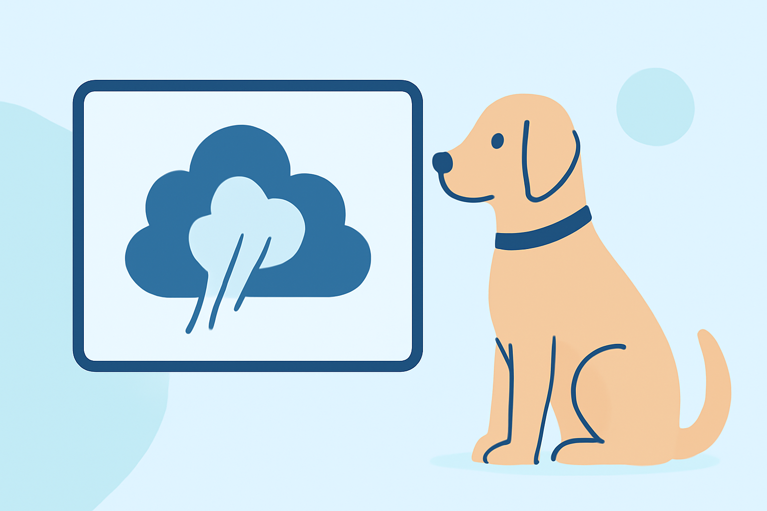 Wildfire Smoke Air Quality Basics for Pet Owners