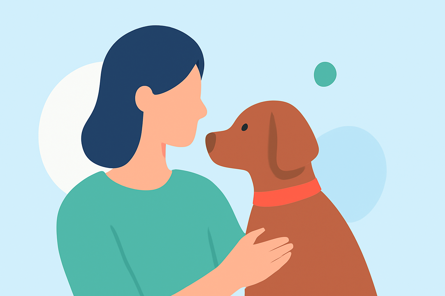 Best Time to Visit a City: Tips for Pet Owners