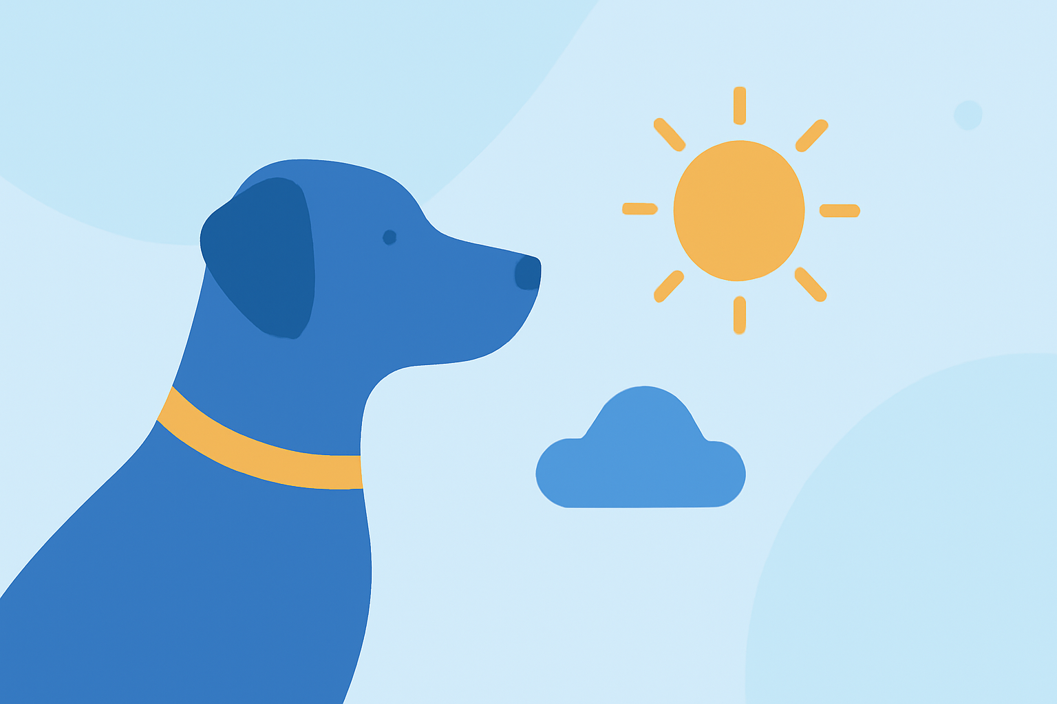 An Introduction to Summer Weather Outlook for Pet Owners in the United States