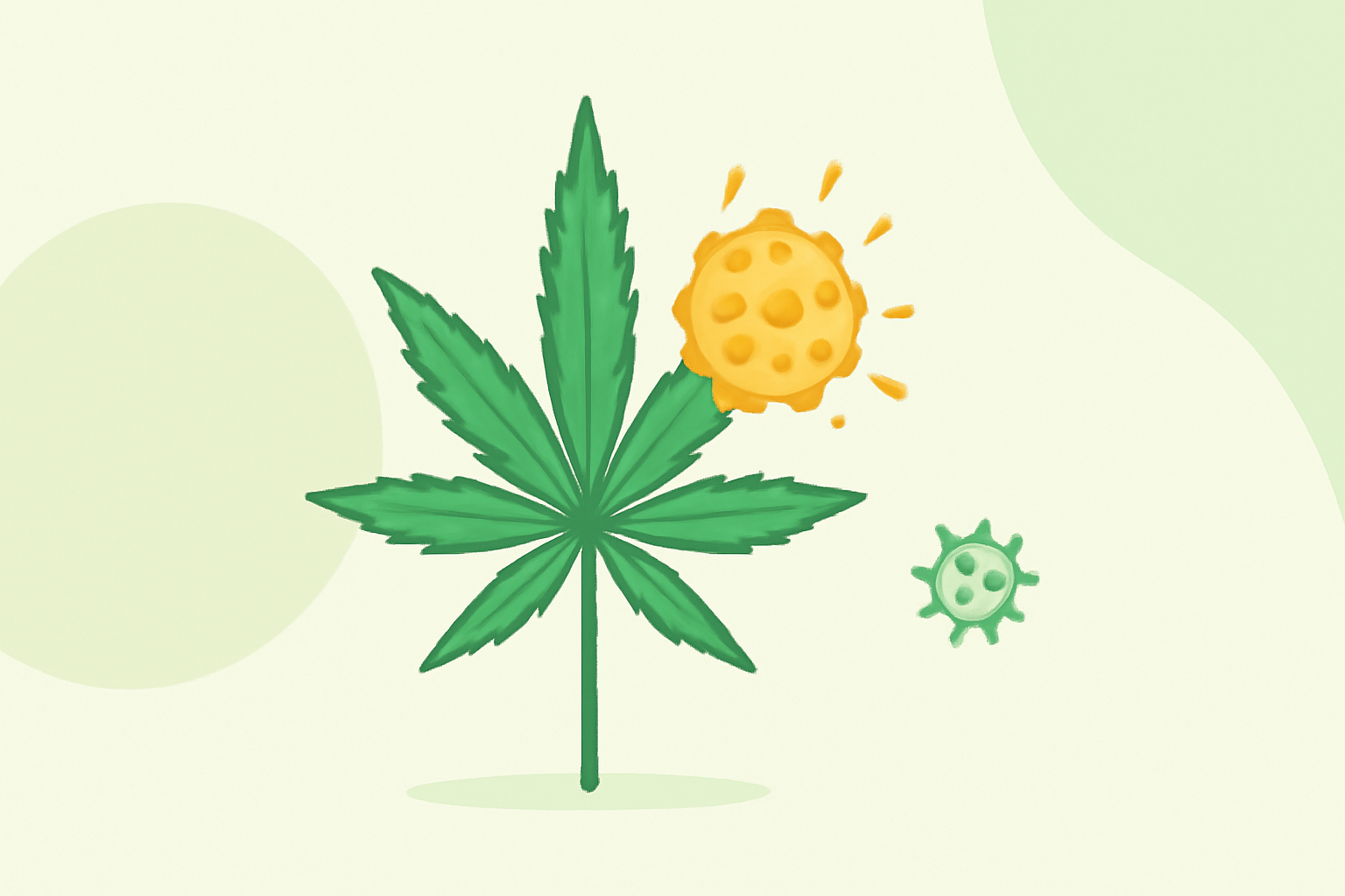 Understanding Weed Pollen: A Beginner's Guide