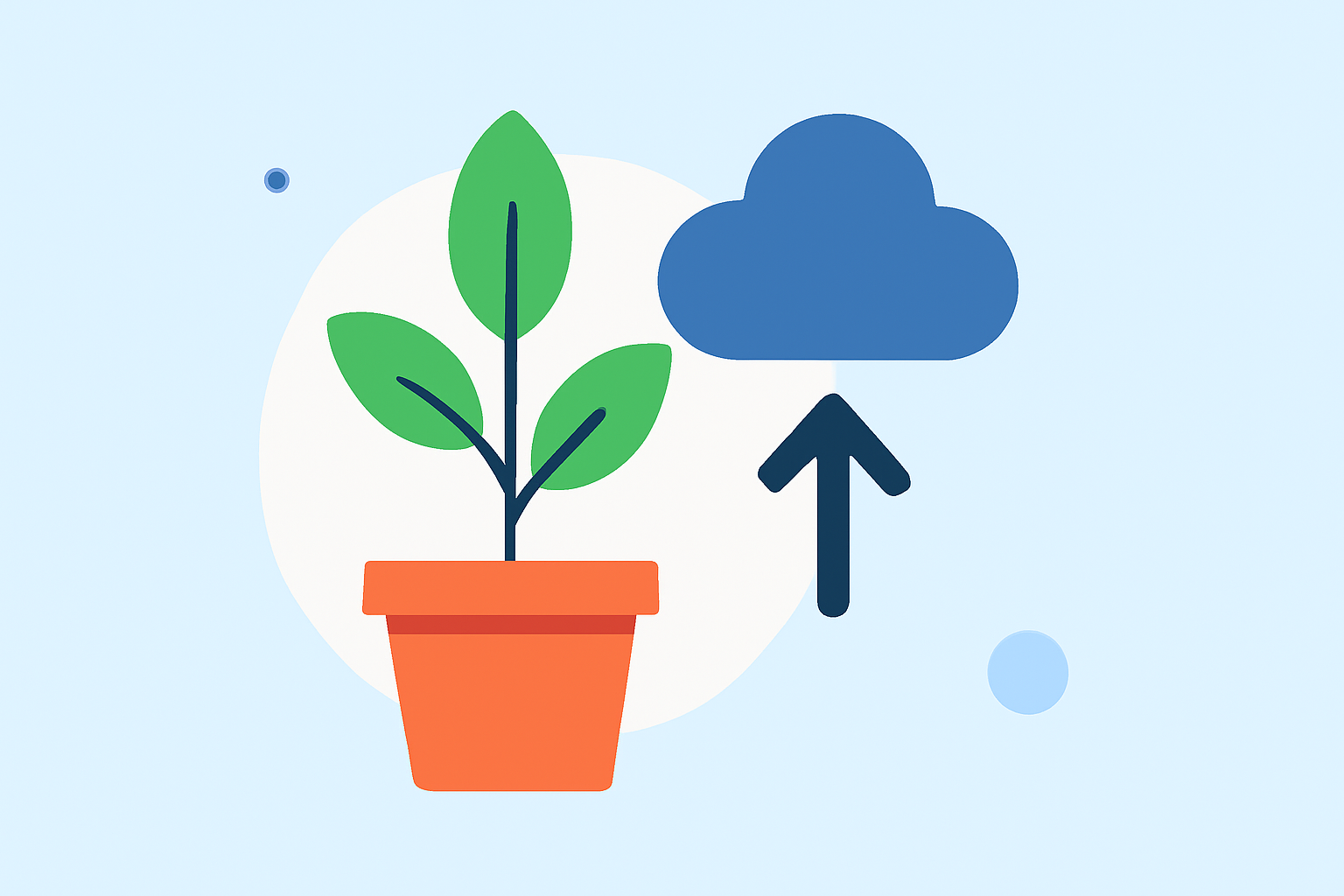 Adapting Your Garden to Climate Change: A Step-by-Step Guide for U.S. Gardeners
