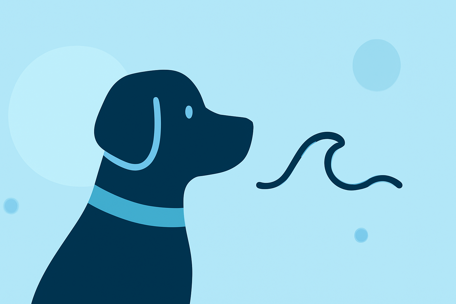Easy Arctic Oscillation Basics for Pet Owners