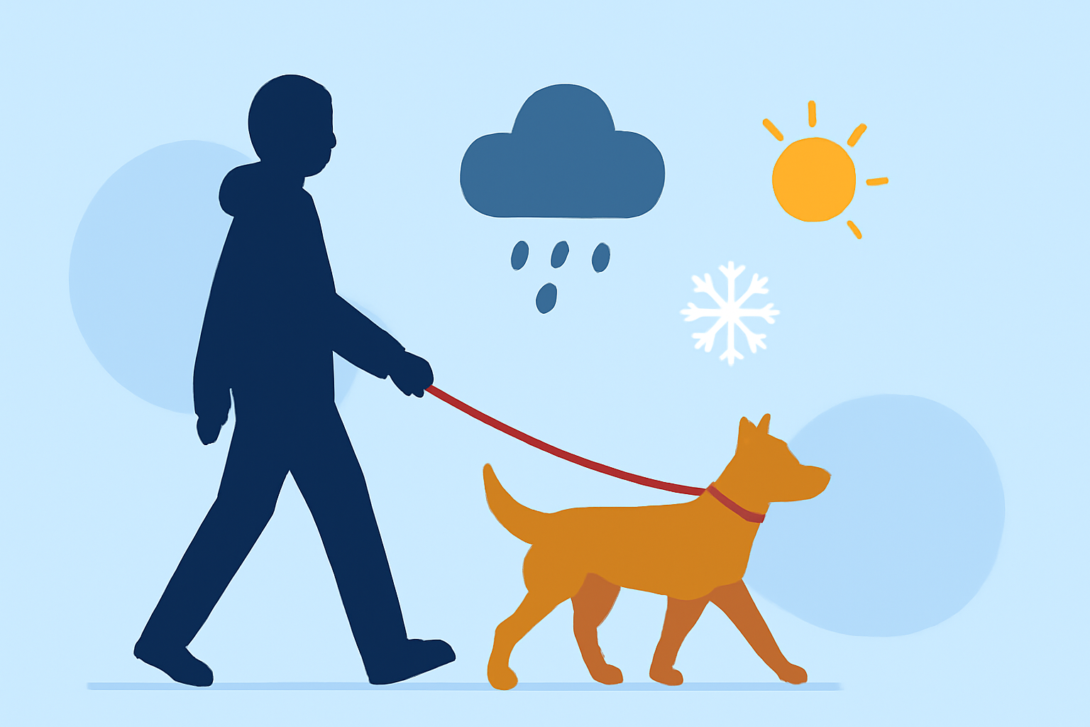 Essential Guide to Safe Dog Walking in Various Weather Conditions