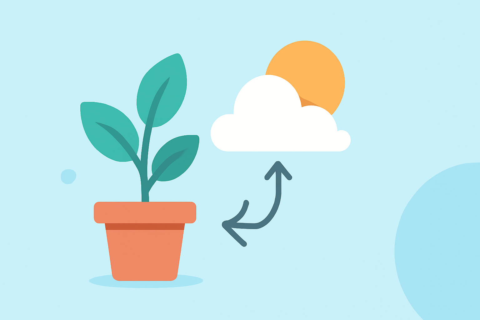 Understanding Nitrogen Dioxide Levels and Their Impact on Gardening