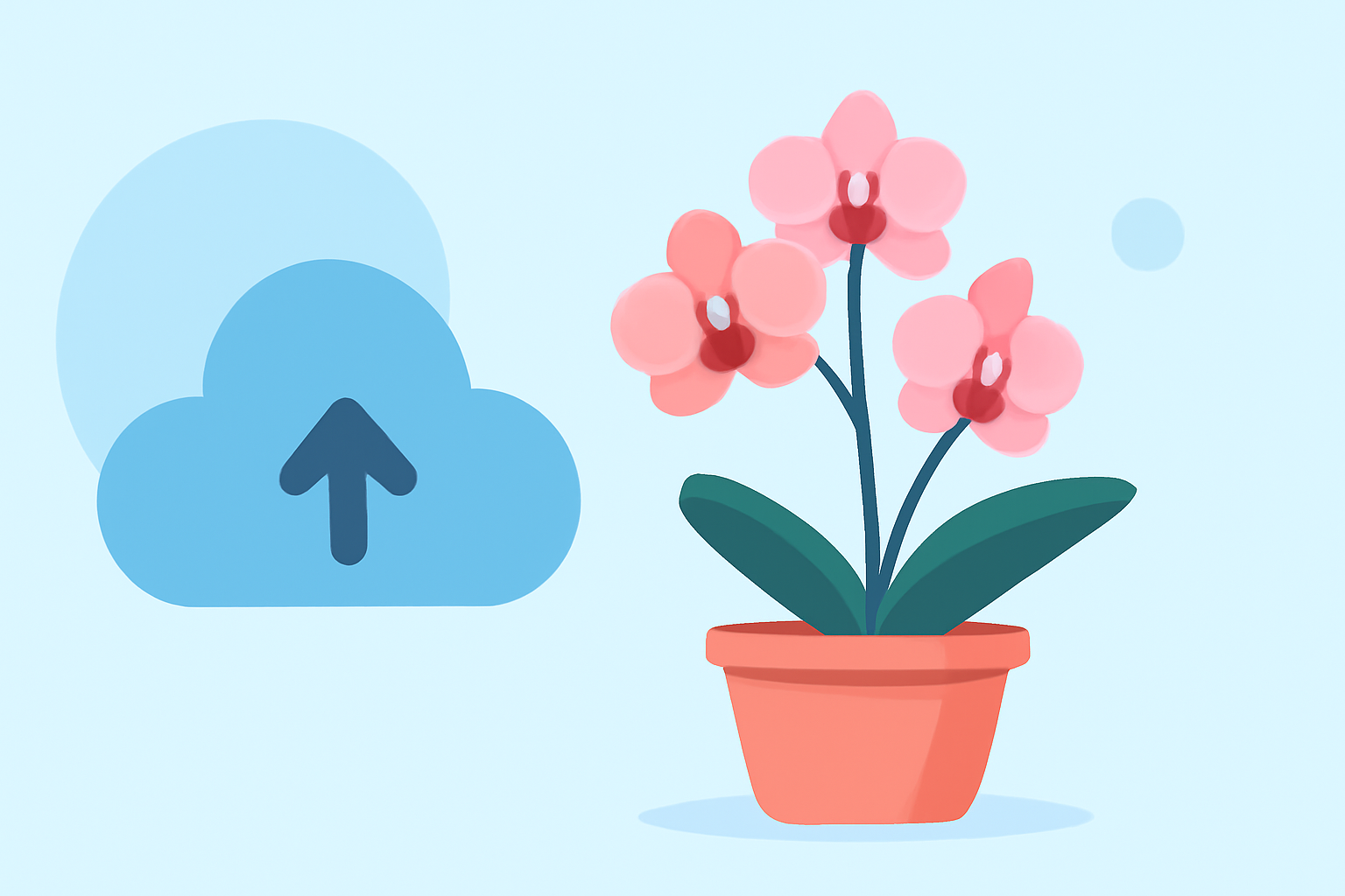 Weather Considerations for Growing Orchids While Traveling
