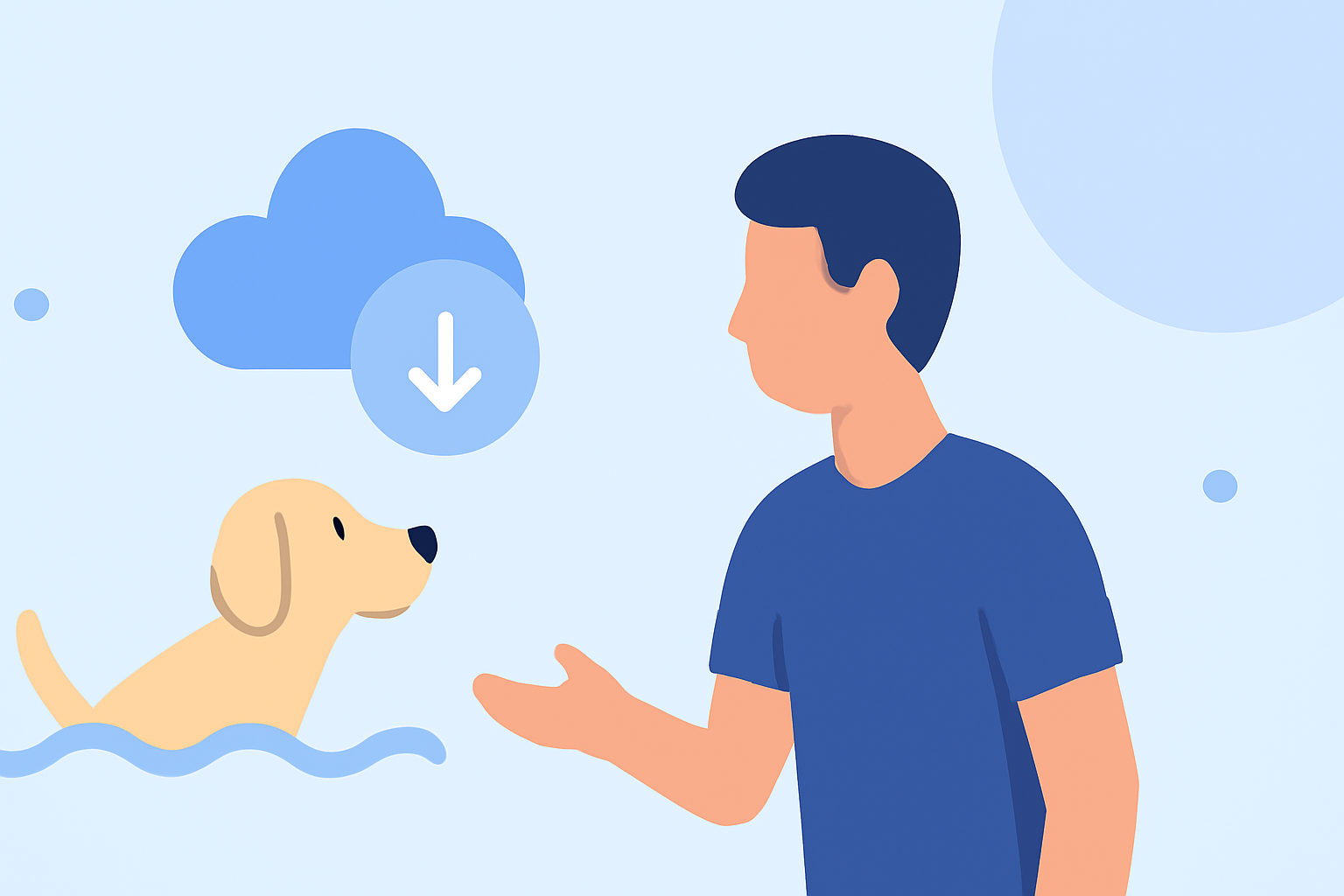 Essential Weather Insights for Swimming Tricks with Your Pet