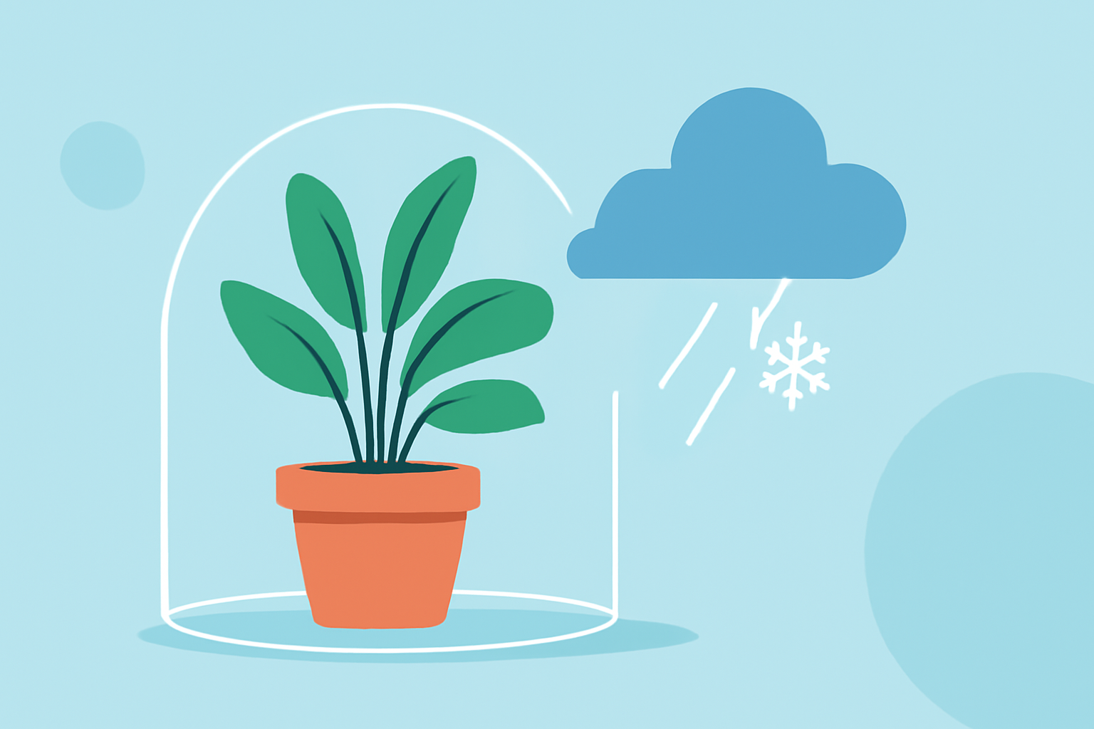 Essential Guide to Indoor Plant Care During Winter Storms