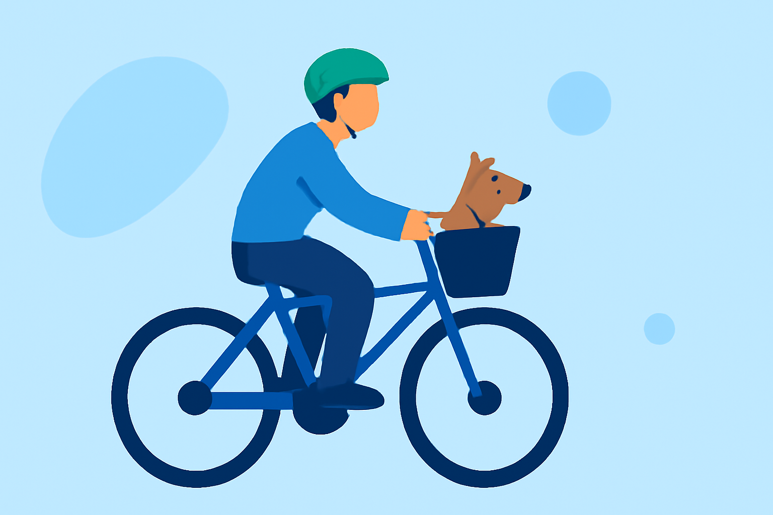 An Introduction to Weather for Cycling for Pet Owners