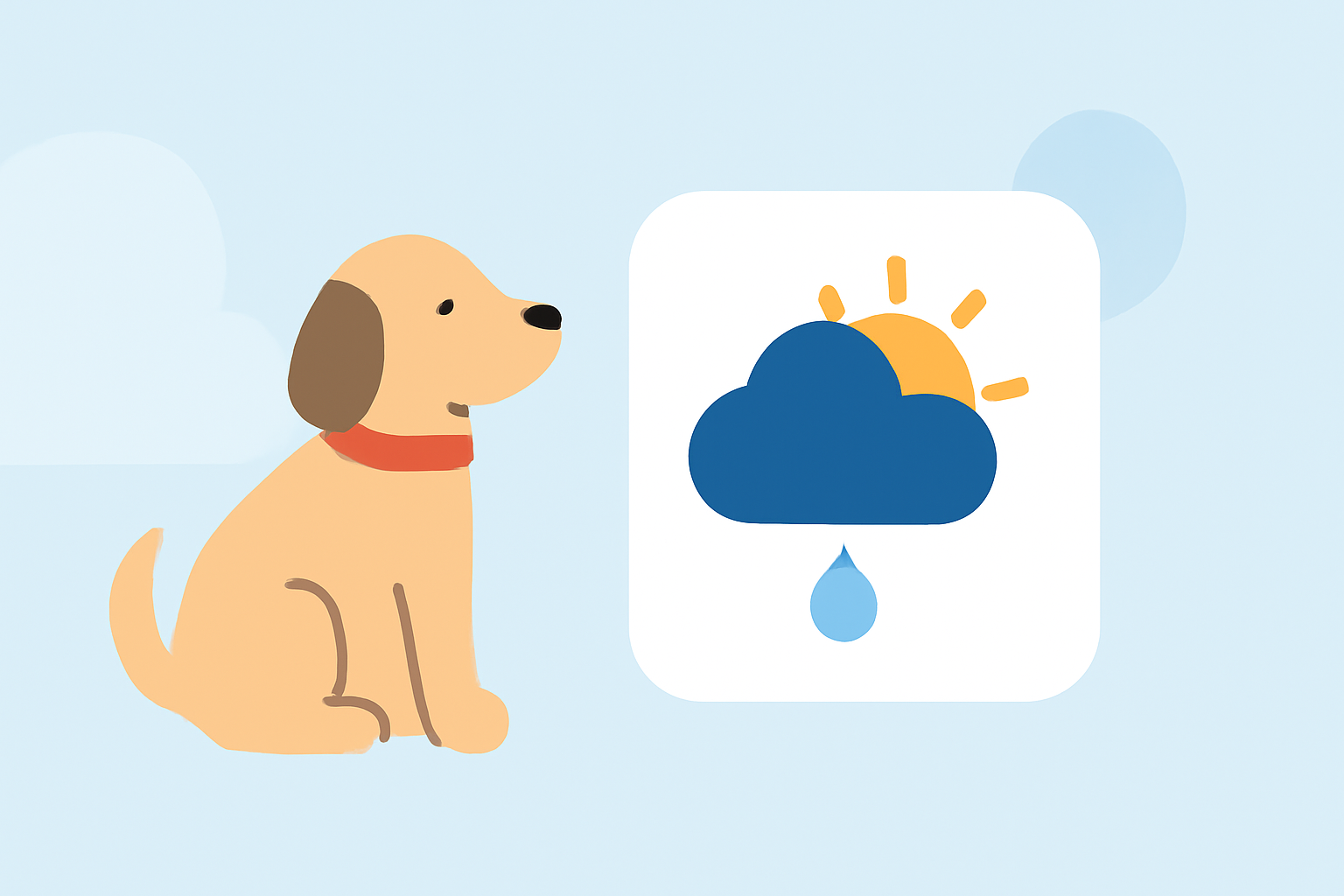 Weather for Sailing Trips: A Step-by-Step Guide for Pet Owners