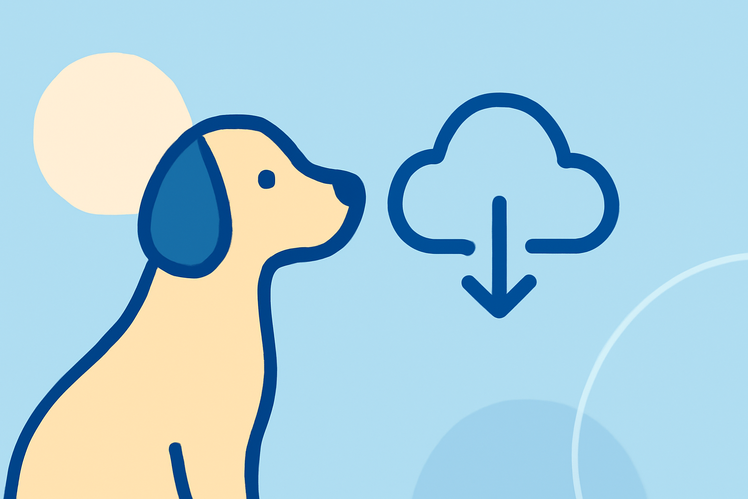 An Introduction to Coastal Climate Trends for Pet Owners