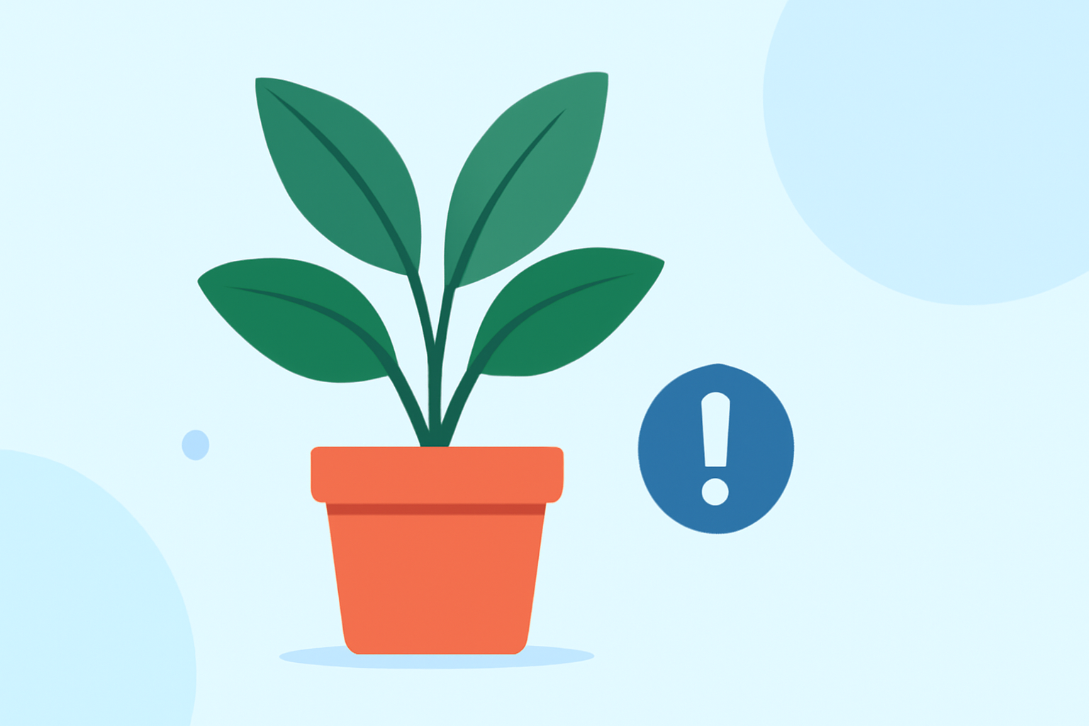 Essential Indoor Plant Care Tips for Athletes: Avoiding Common Mistakes