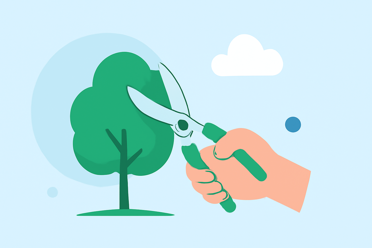 Common Weather Questions for Tree Trimming