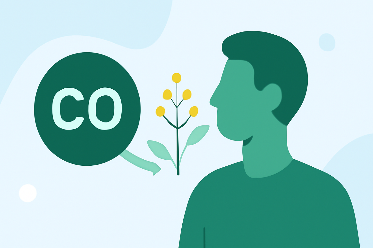 Essential Tips for Managing Carbon Monoxide Levels During Pollen Season