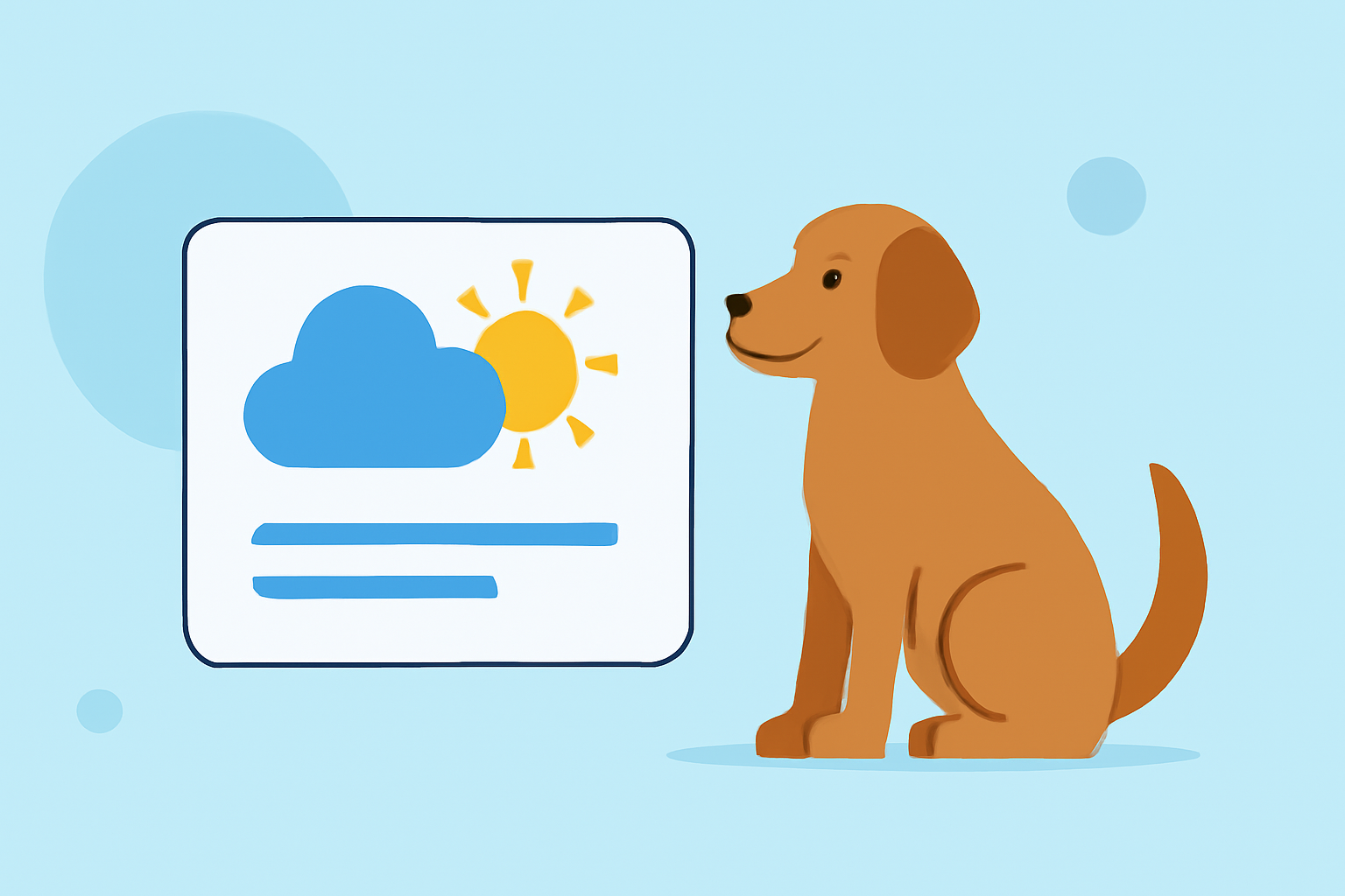 Glanceable Weather Widgets Explained for Pet Owners