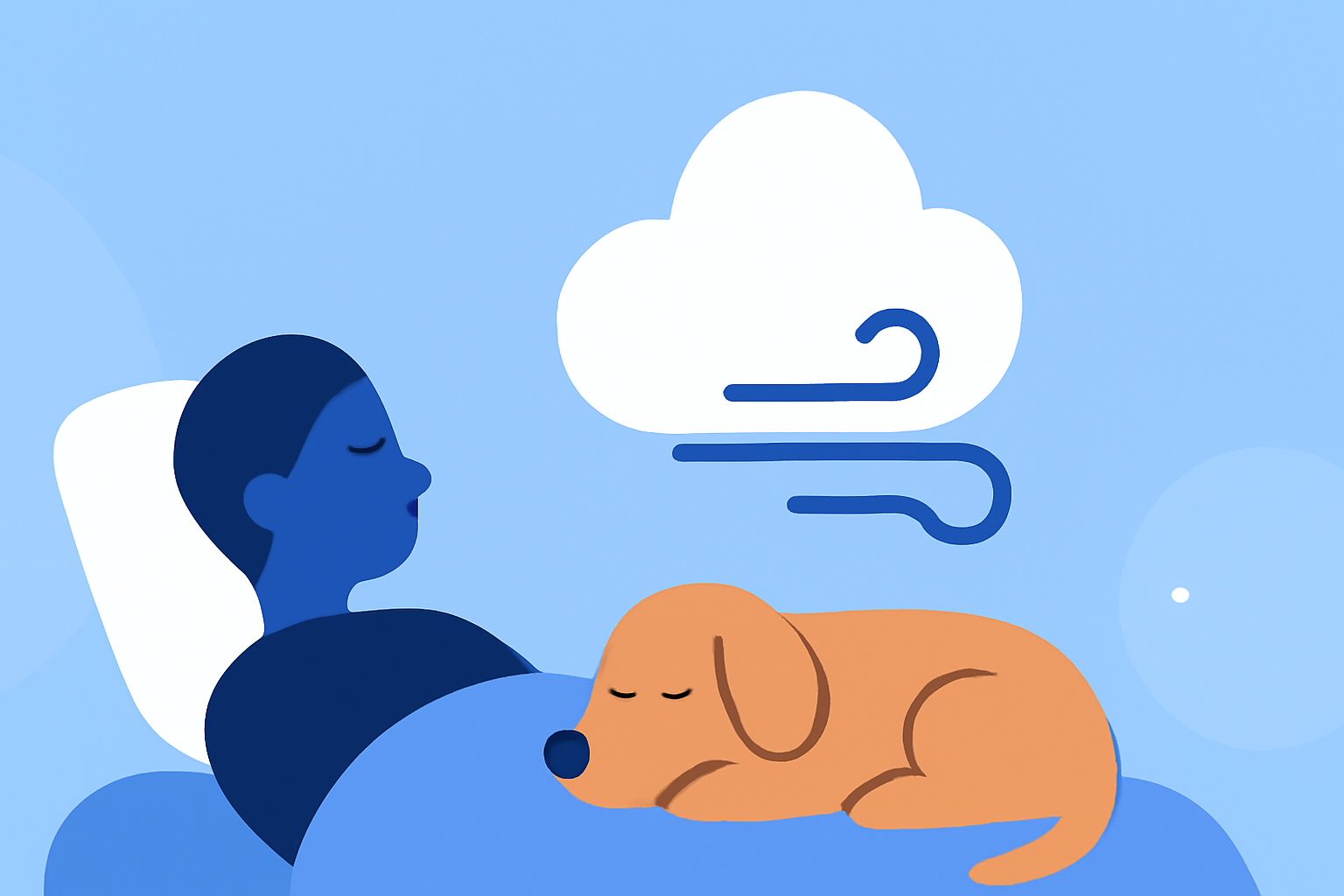 Sleeping with Poor Air Quality: A Guide for Pet Owners