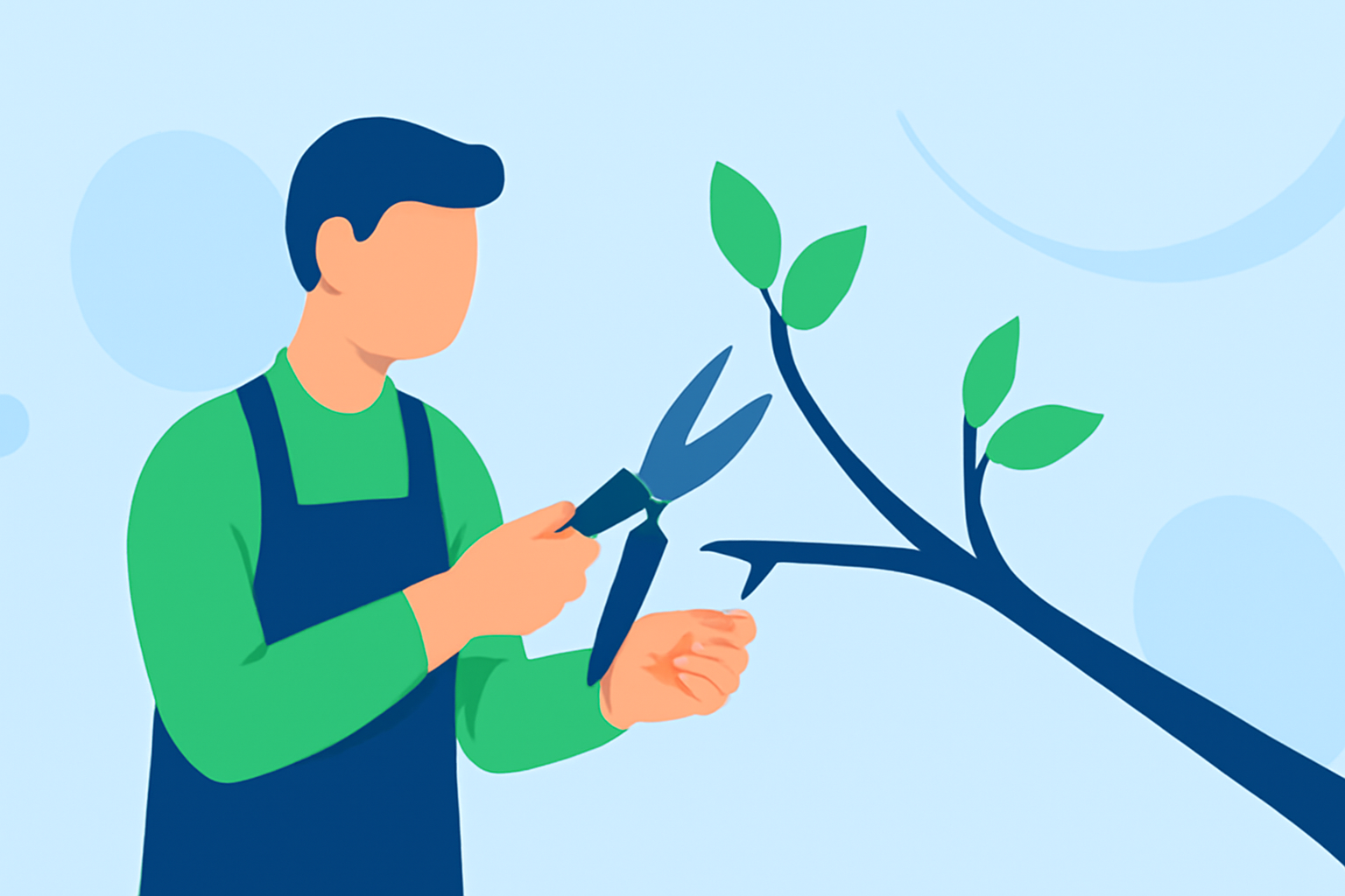Optimal Weather Conditions for Tree Pruning During Outdoor Events
