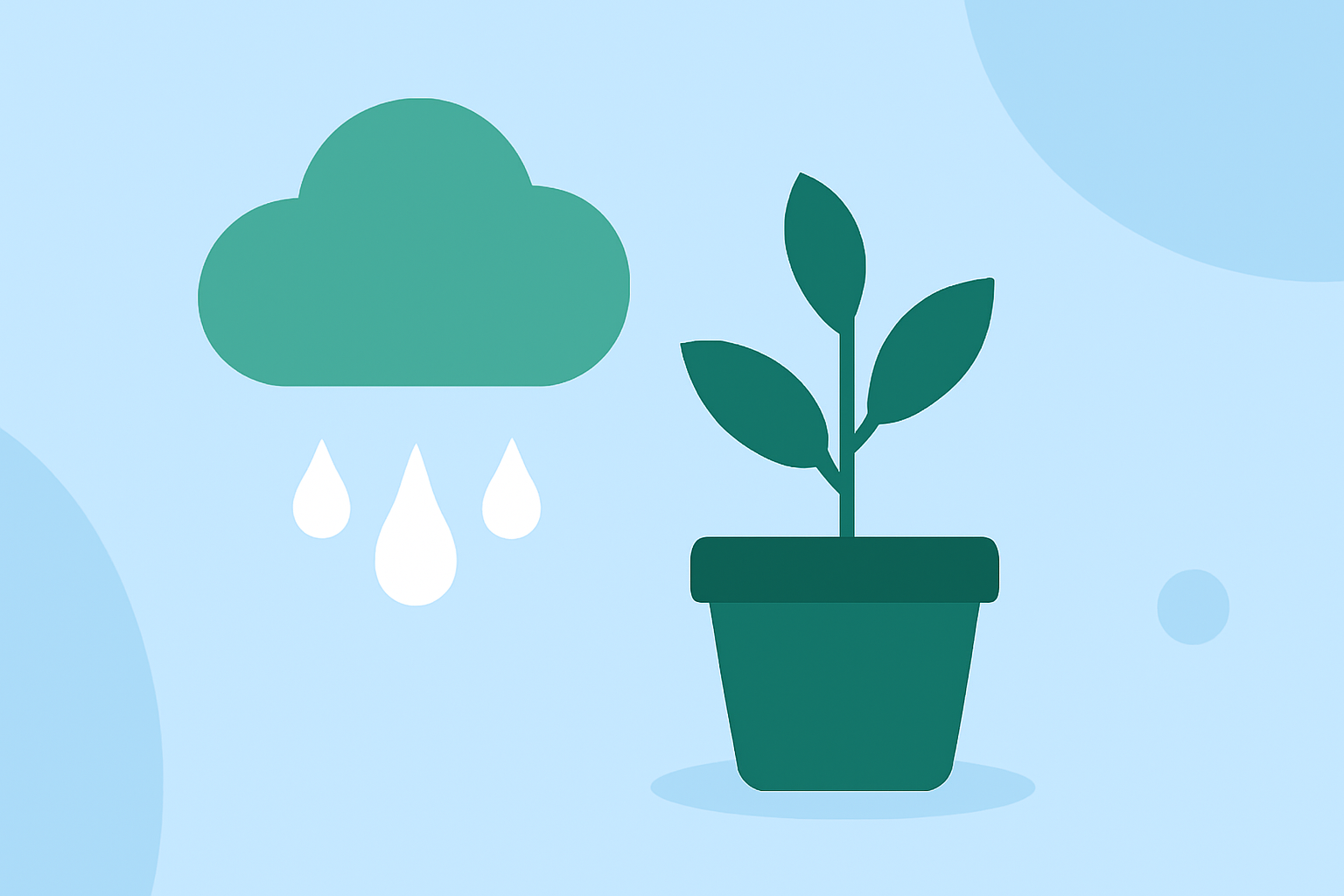 Common Weather-Related Gardening Questions Answered