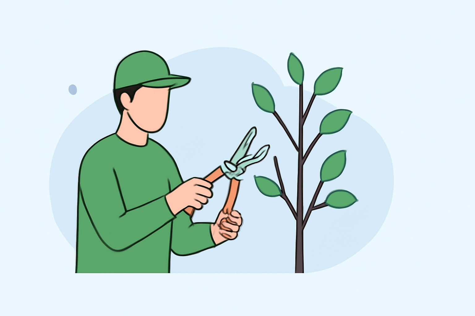 Optimal Weather Conditions for Tree Pruning: A Comprehensive Guide