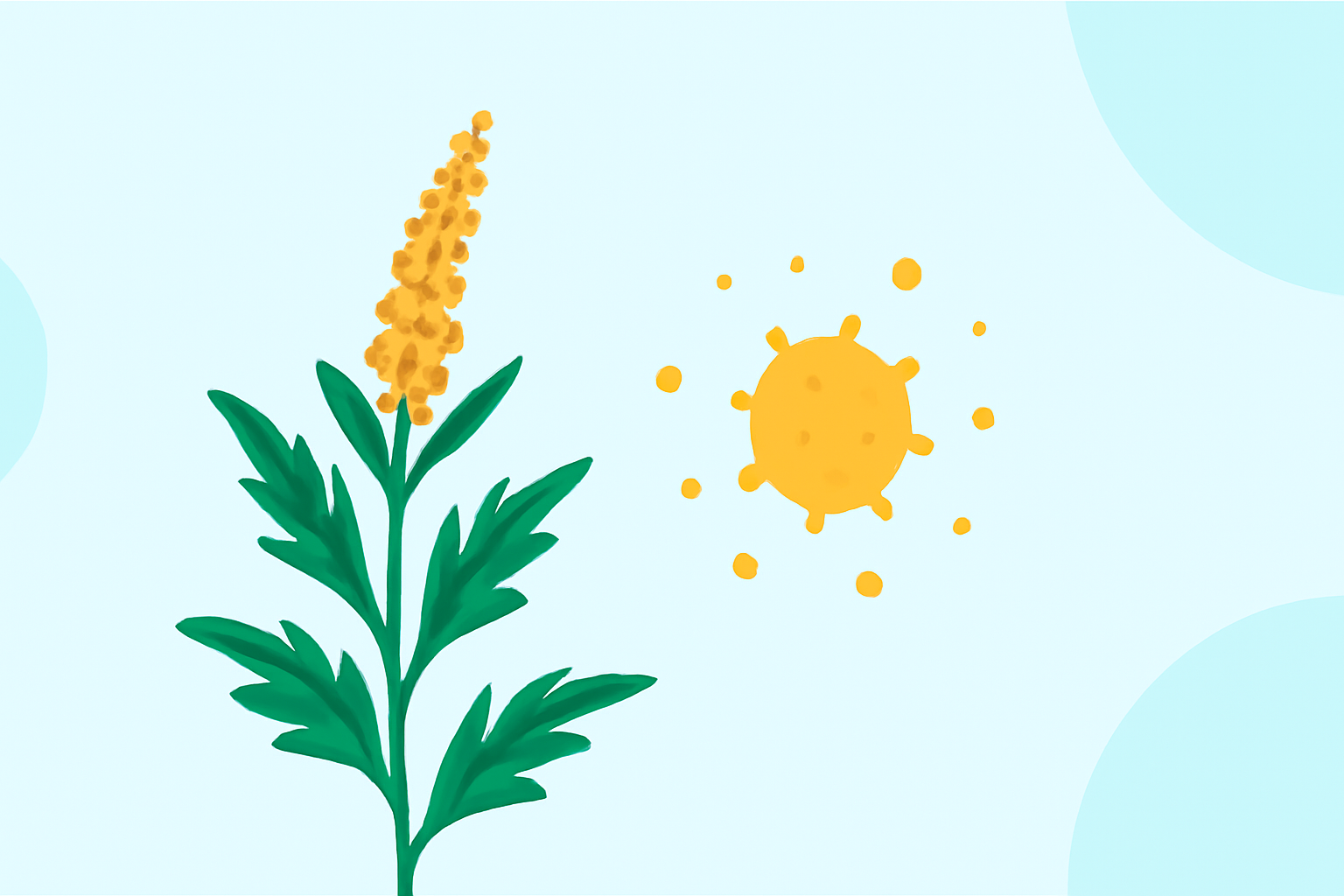Your Fast Guide to Ragweed Pollen
