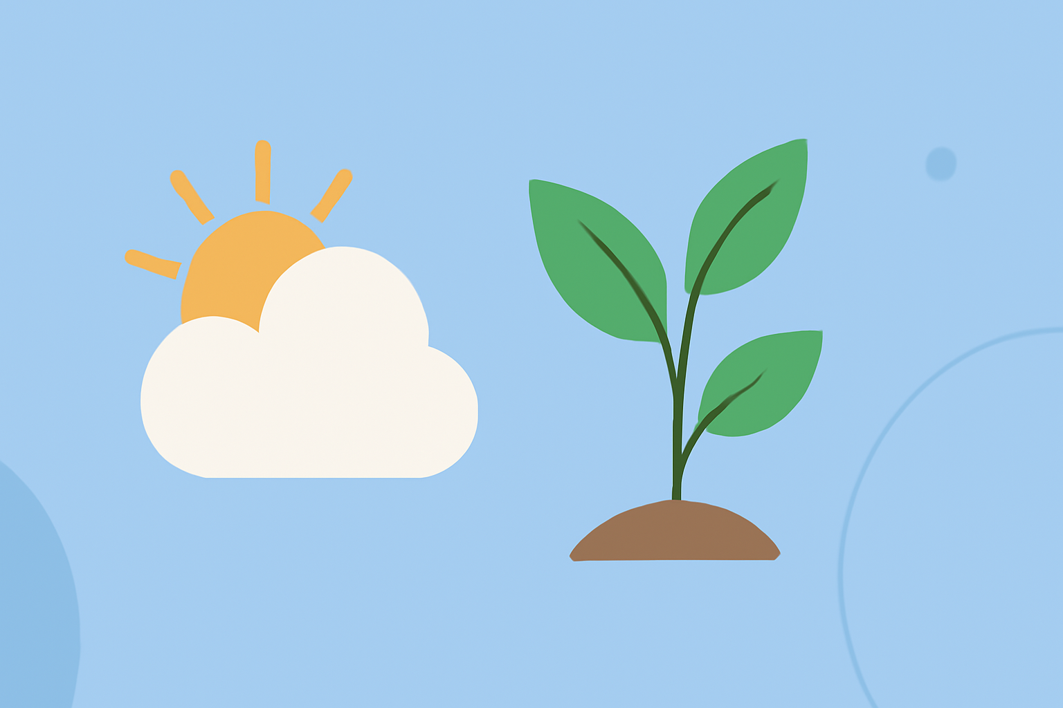Getting Started with Weather for Vegetable Growing the Right Way