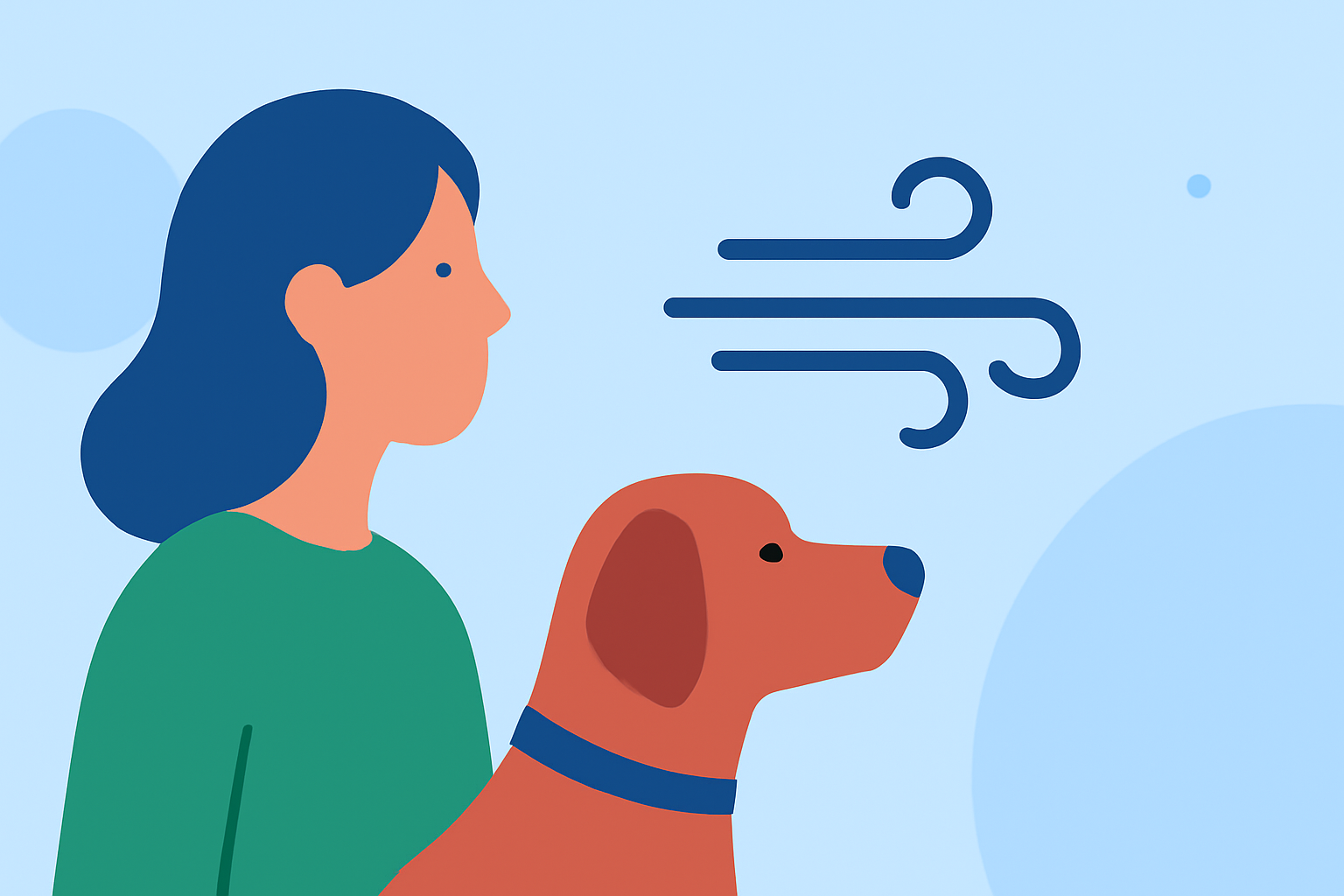 Navigating High Wind Alerts: A Guide for Pet Owners