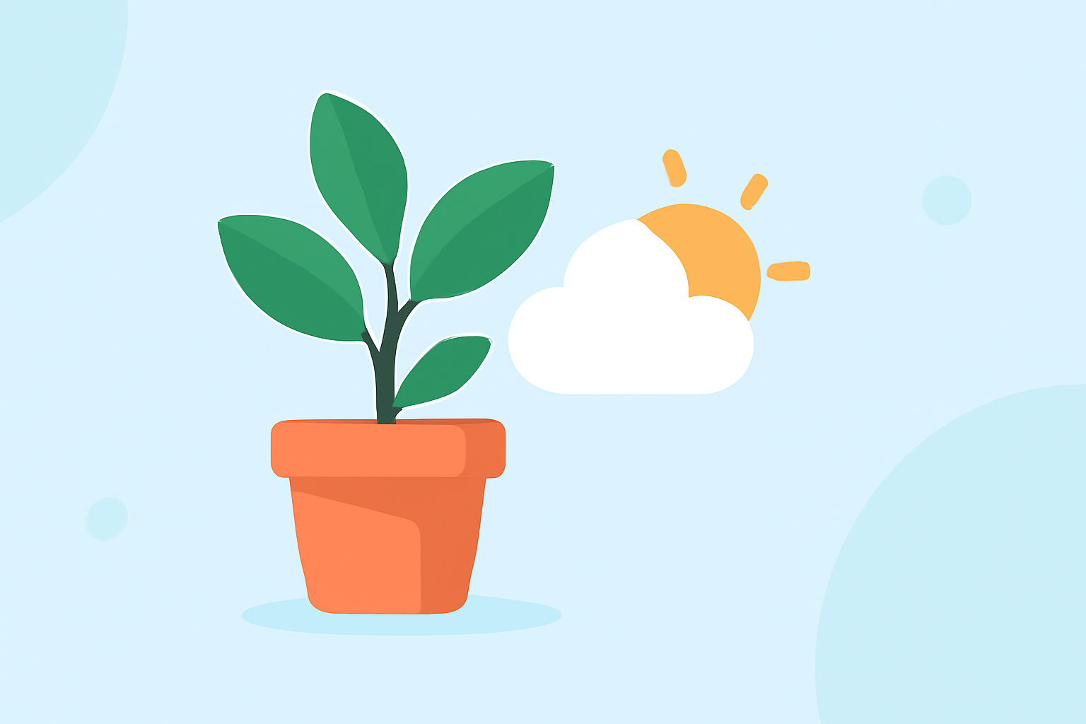 Weather for Indoor Plant Care: A Quick Cheat Sheet