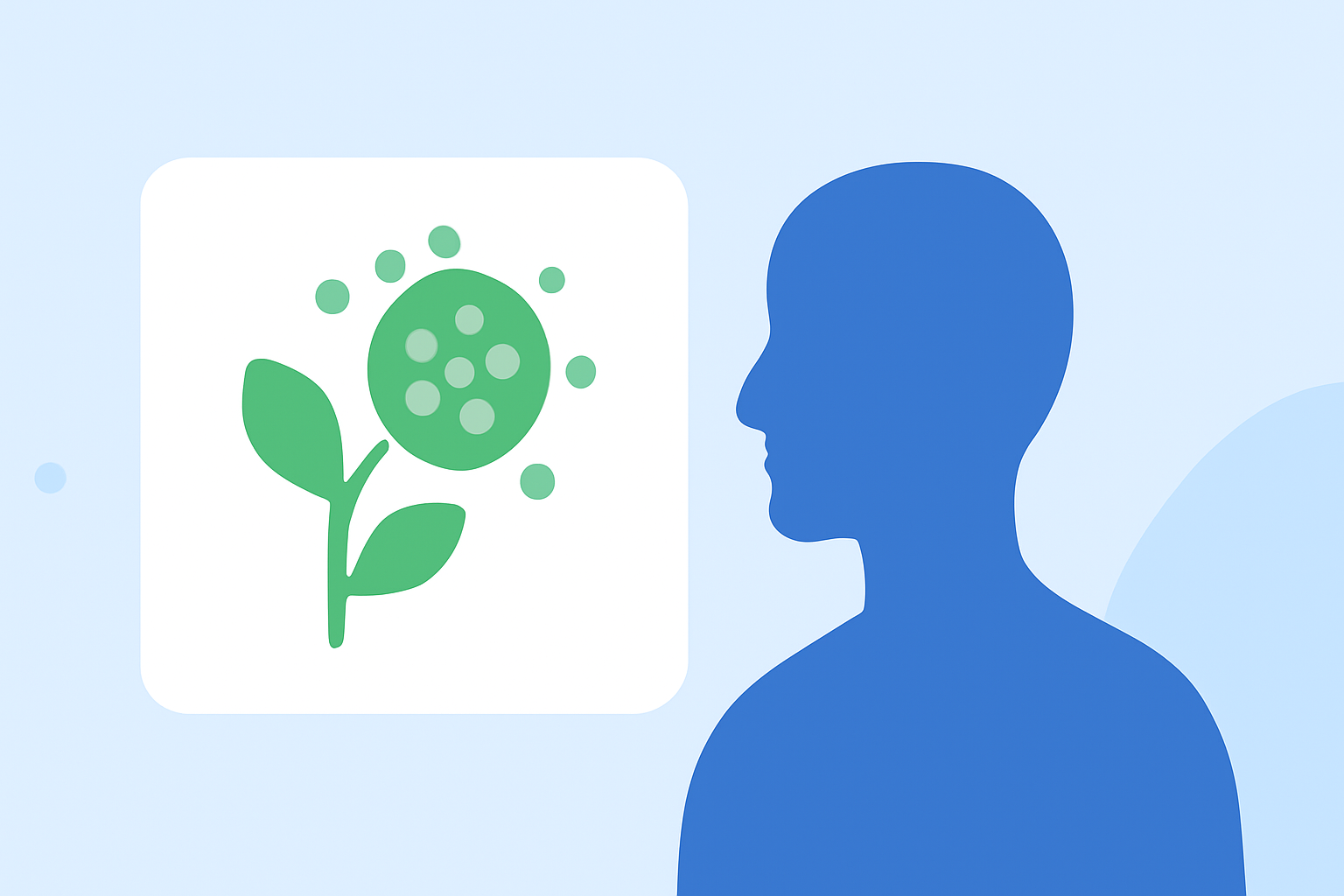Pro Pollen Forecasts for Outdoor Enthusiasts