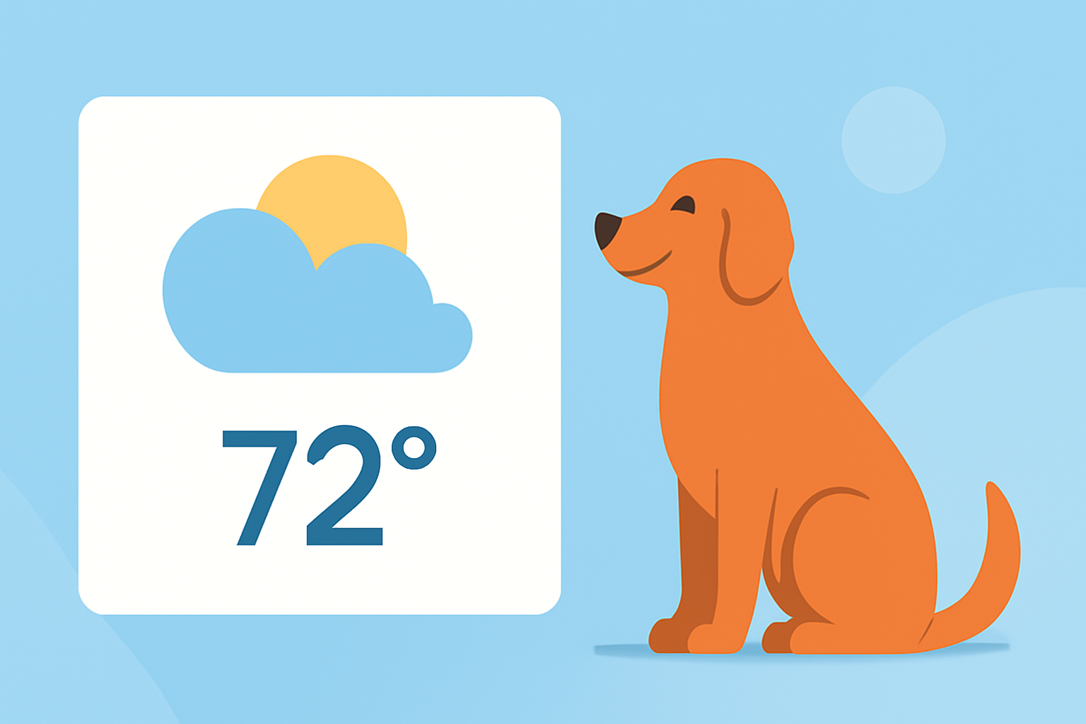 Enhancing Your Pet Care Routine with Large Weather Widgets