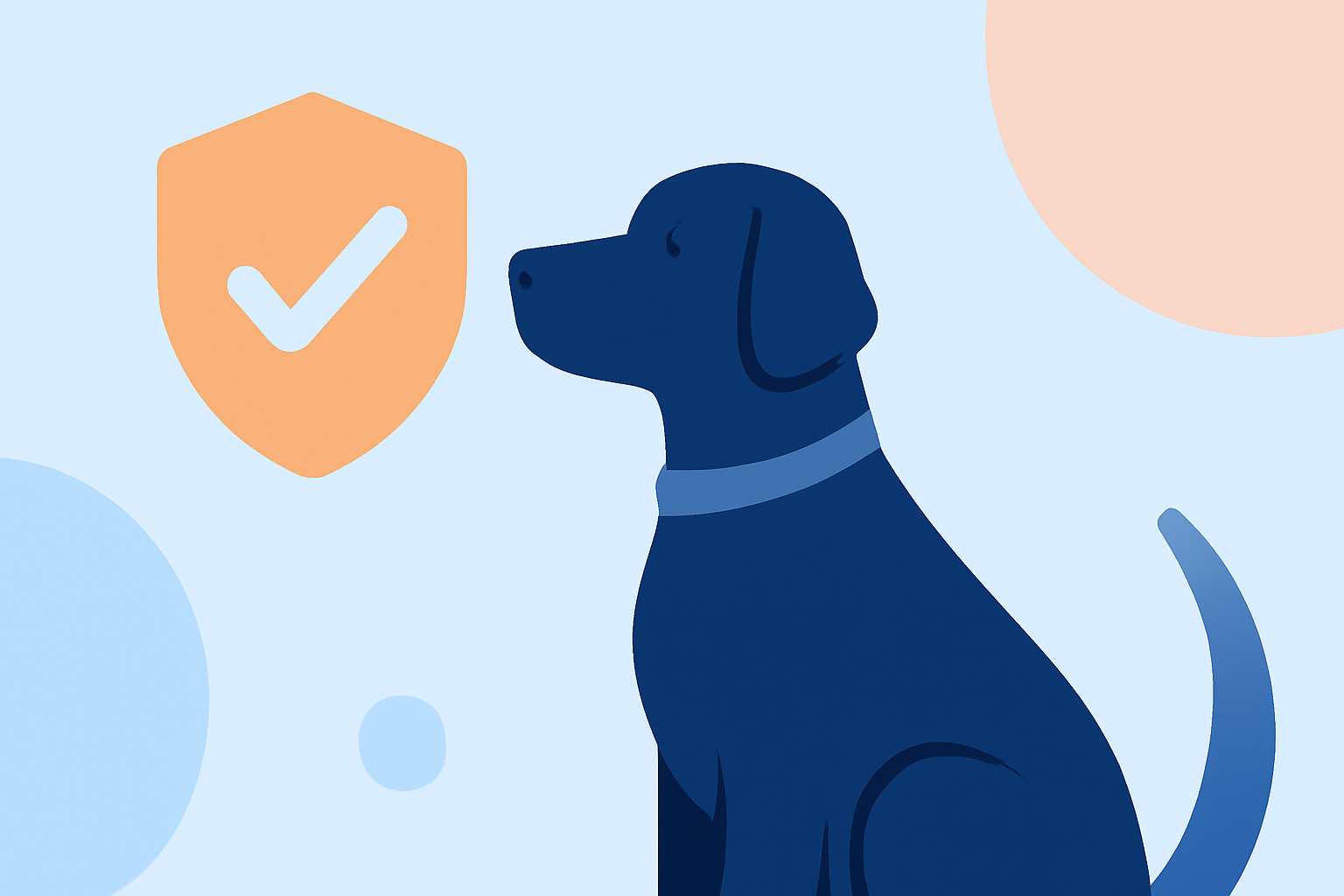 Ensuring Pet Safety During Twilight Hours: A Comprehensive Checklist for Owners