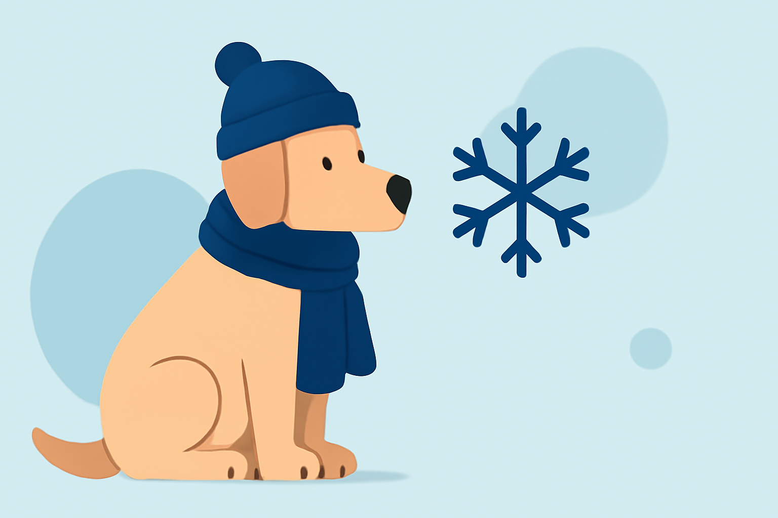 Cold Wave Safety Basics for Pet Owners