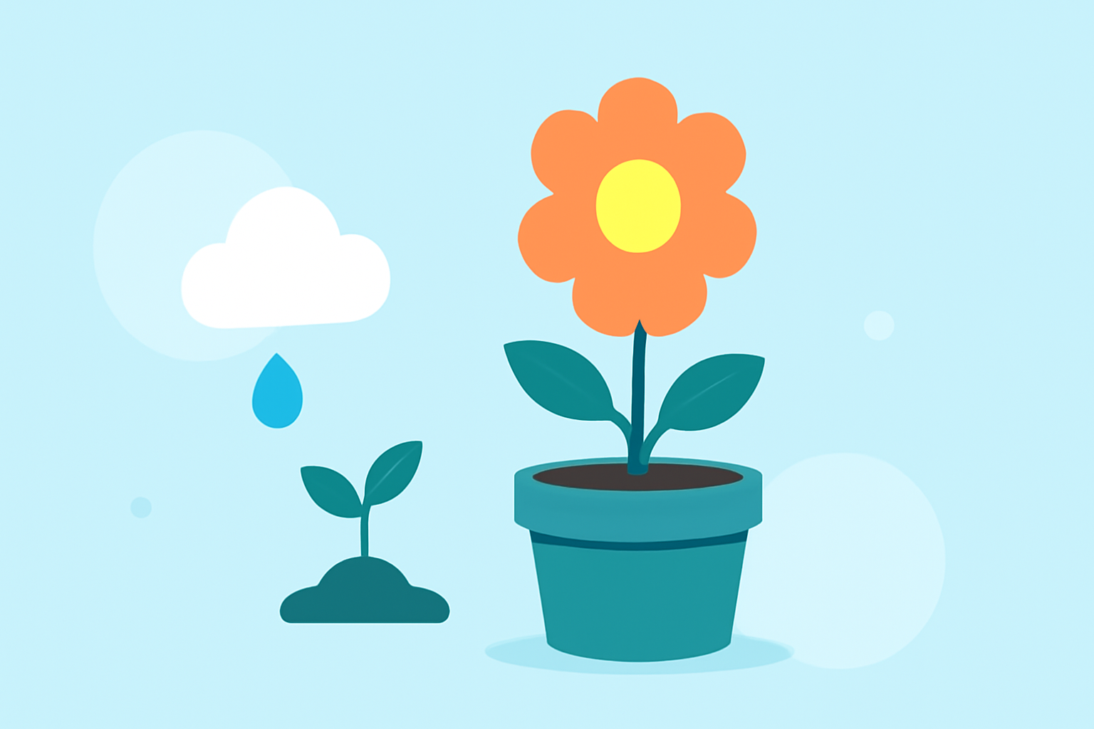 Flower Growing Cheat Sheet: Essential Weather and Planting Guidelines