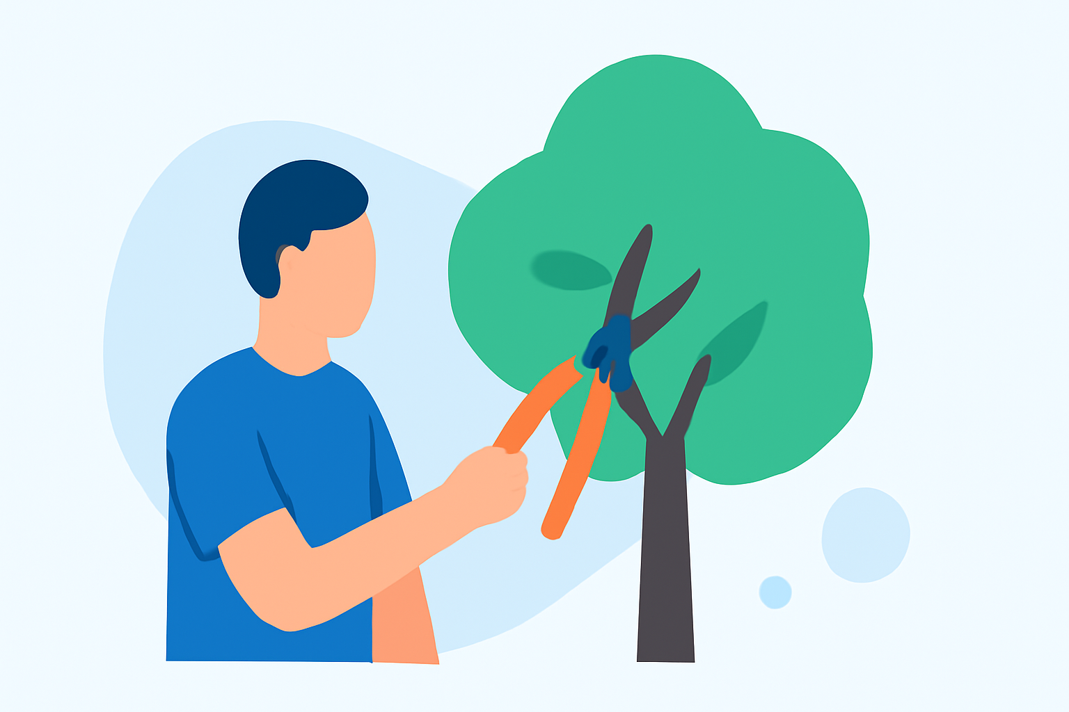 Optimal Weather Conditions for Tree Pruning: A Guide for Athletes