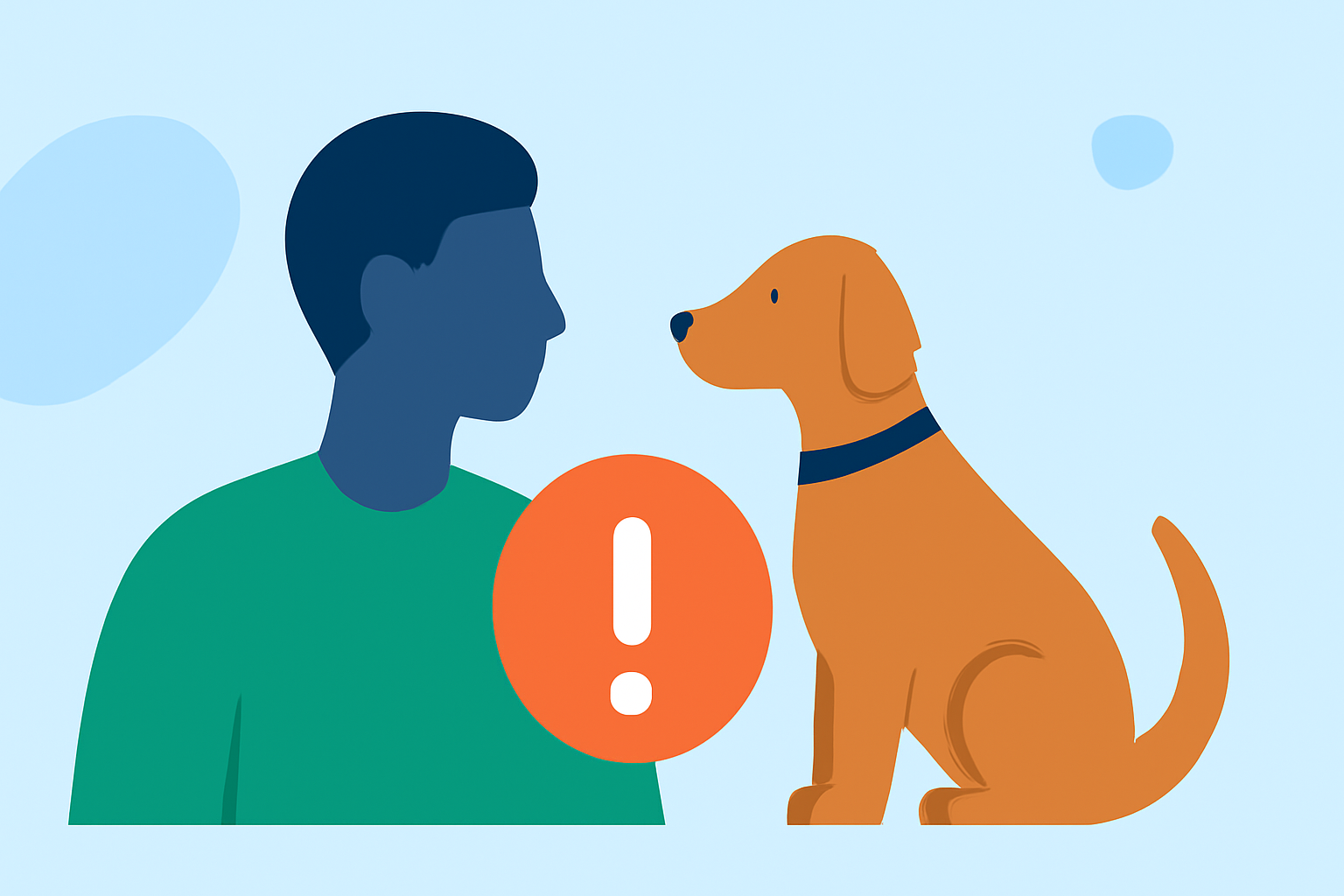 After-Storm Safety Mistakes to Avoid for Pet Owners