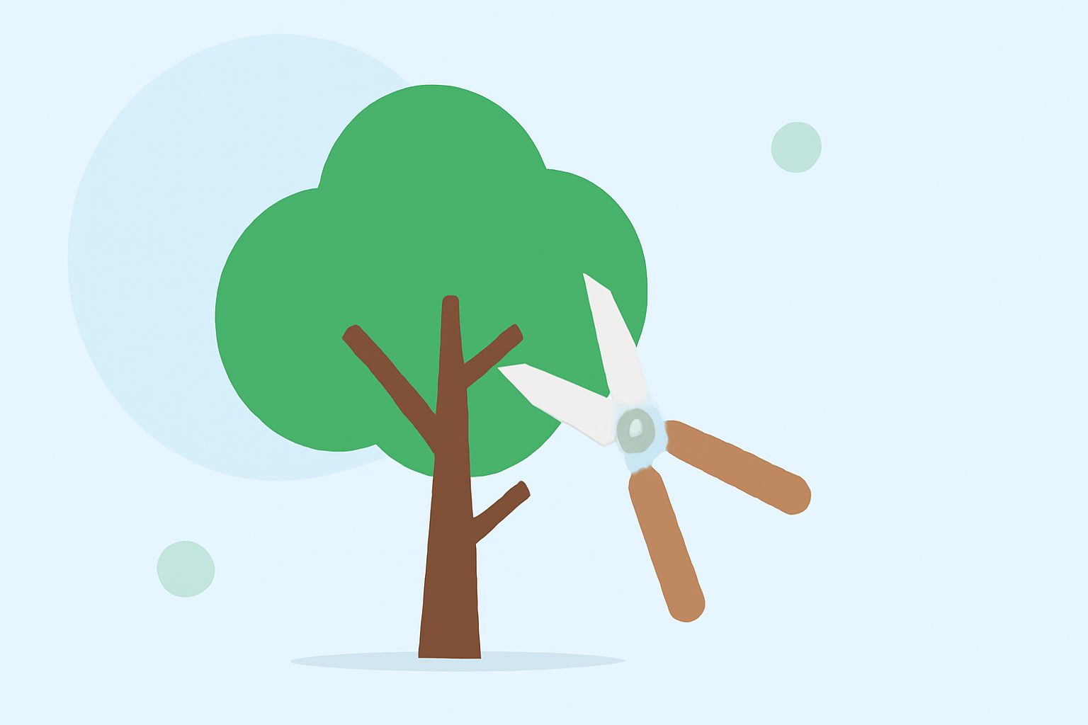 Optimal Weather Conditions for Tree Pruning: A Guide for Beginners