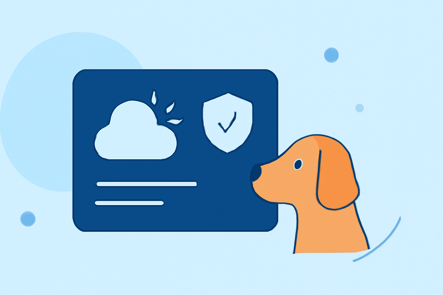 Weather Widget Privacy Checklist for Pet Owners