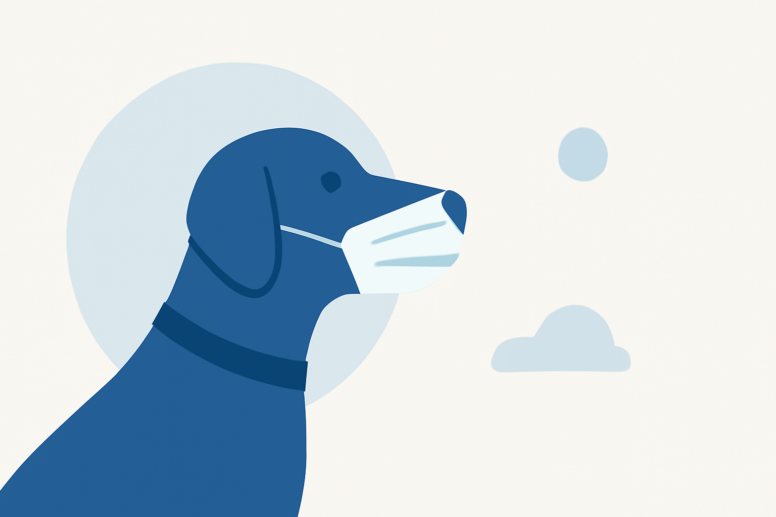 Protecting Your Dog During Poor Air Quality Events