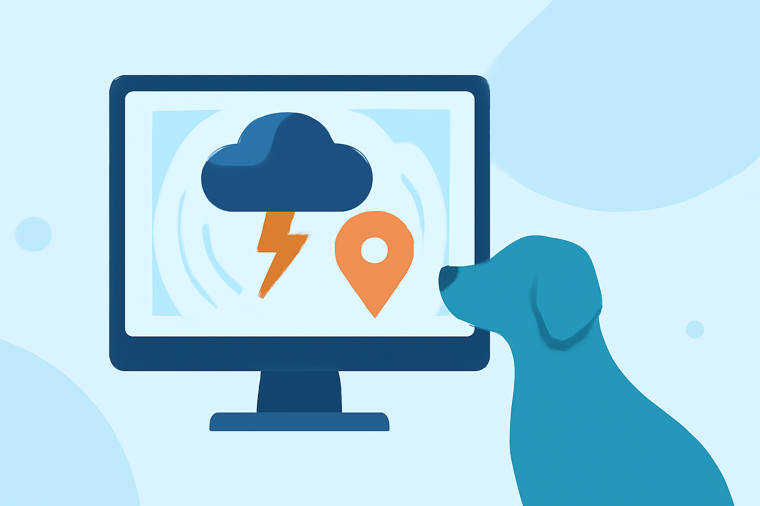 Common Storm Maps Questions for Pet Owners