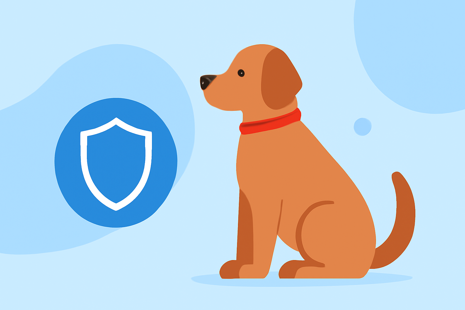 Protecting Your Pets from Ground-Level Ozone: Common Mistakes to Avoid