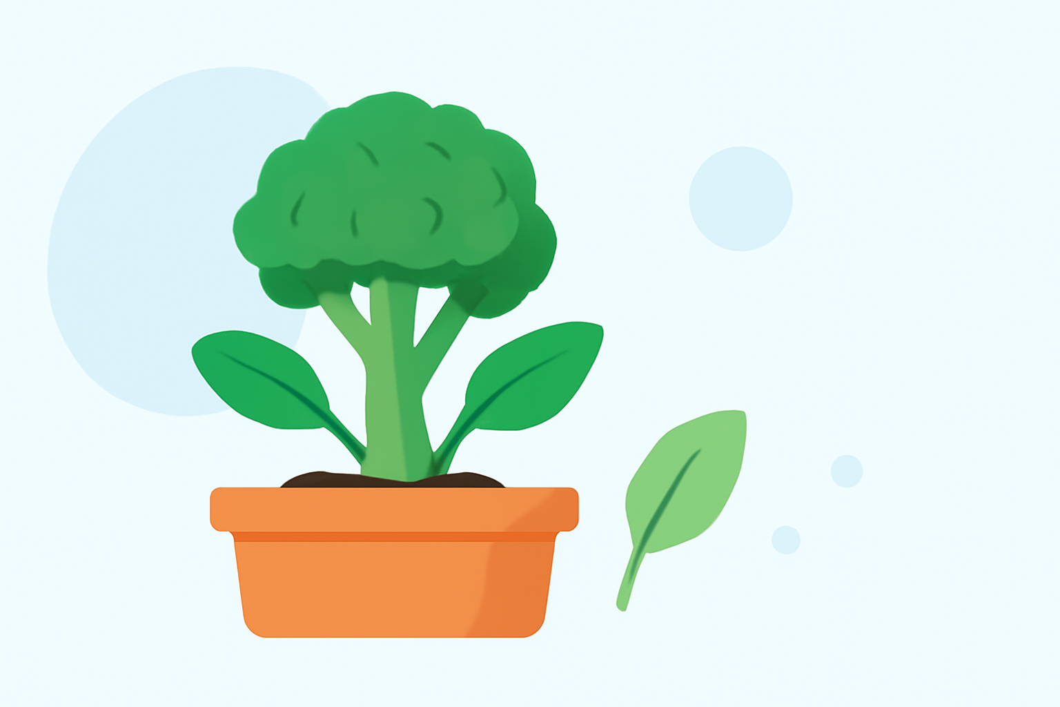 Essential Guide to Winter Vegetable Gardening for Beginners